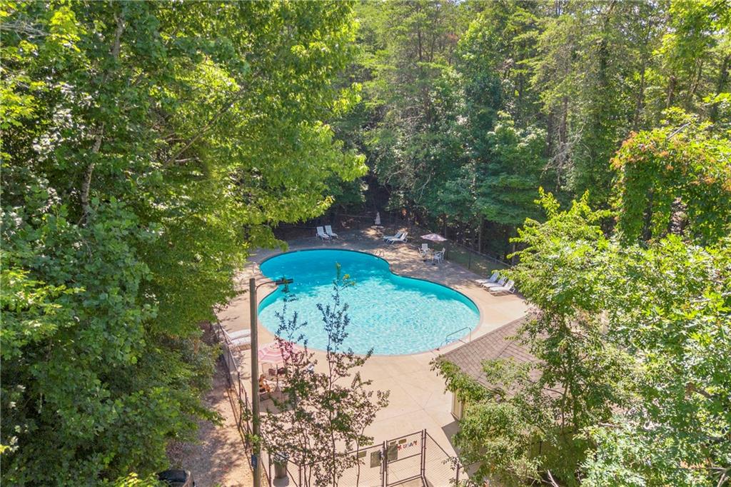 2941 Lake Hollow Road Gainesville, GA 30501 - Photo 48 of 53 a view of a small pond with lots of trees