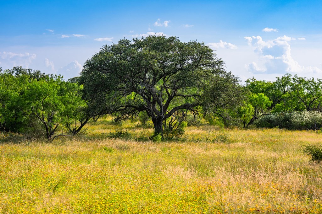 0 County Road Llano, TX 78643 - Photo 42 of 45