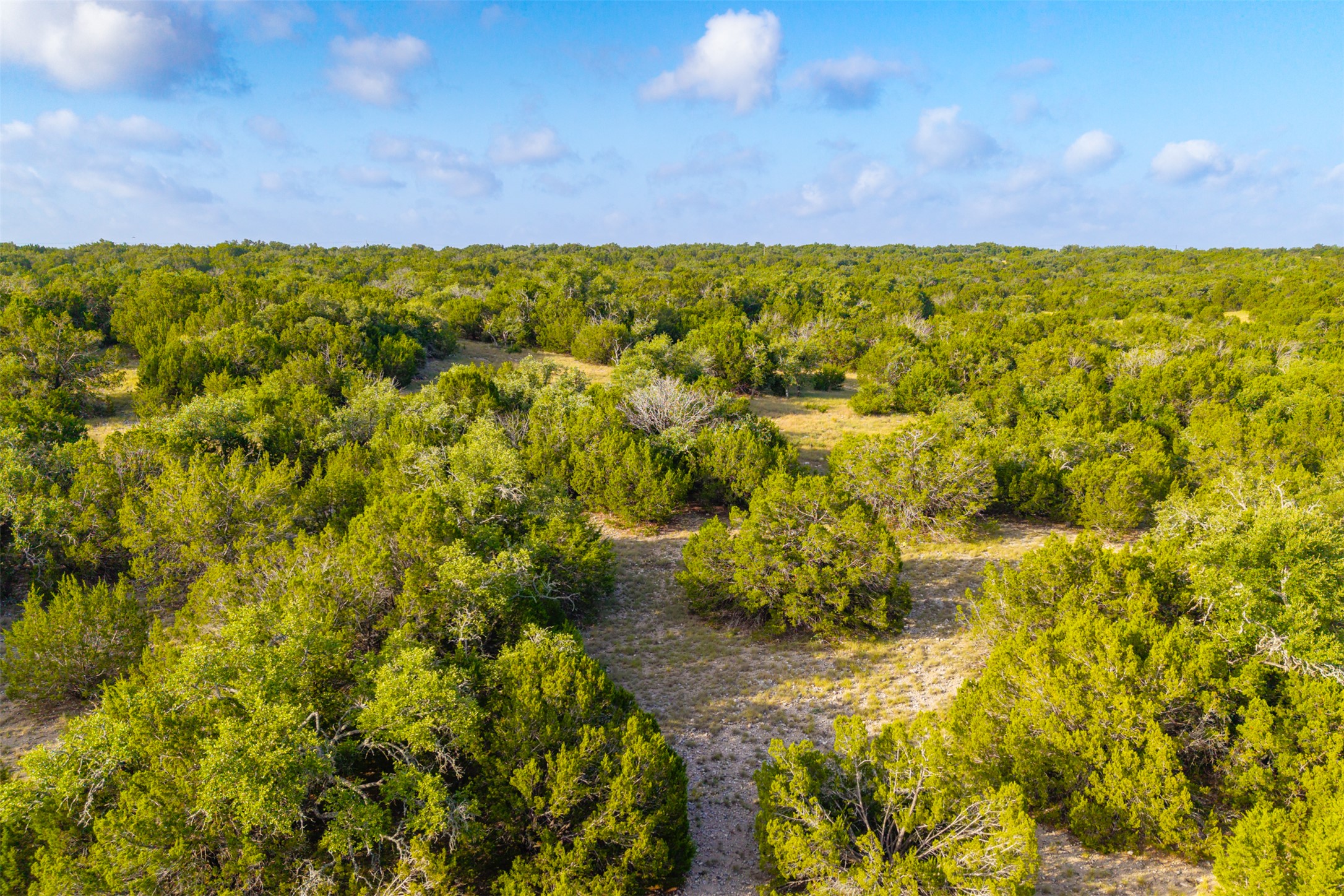 572 Turner Road Menard, TX 76859 - Photo 7 of 40 Gallery Image 7