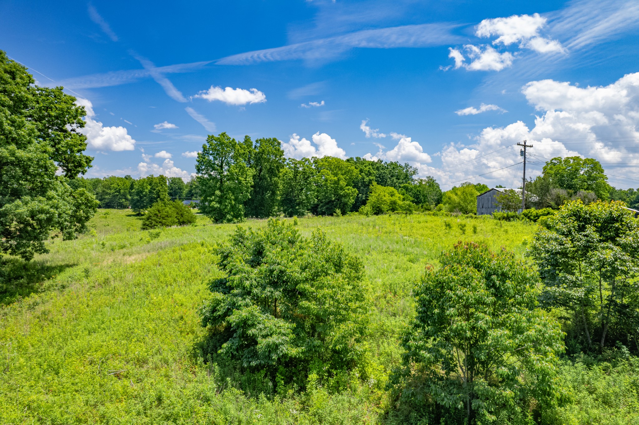 0 Mobley Ridge Road Duck River, TN 38454 - Photo 21 of 35 a view of a green yard with large trees
