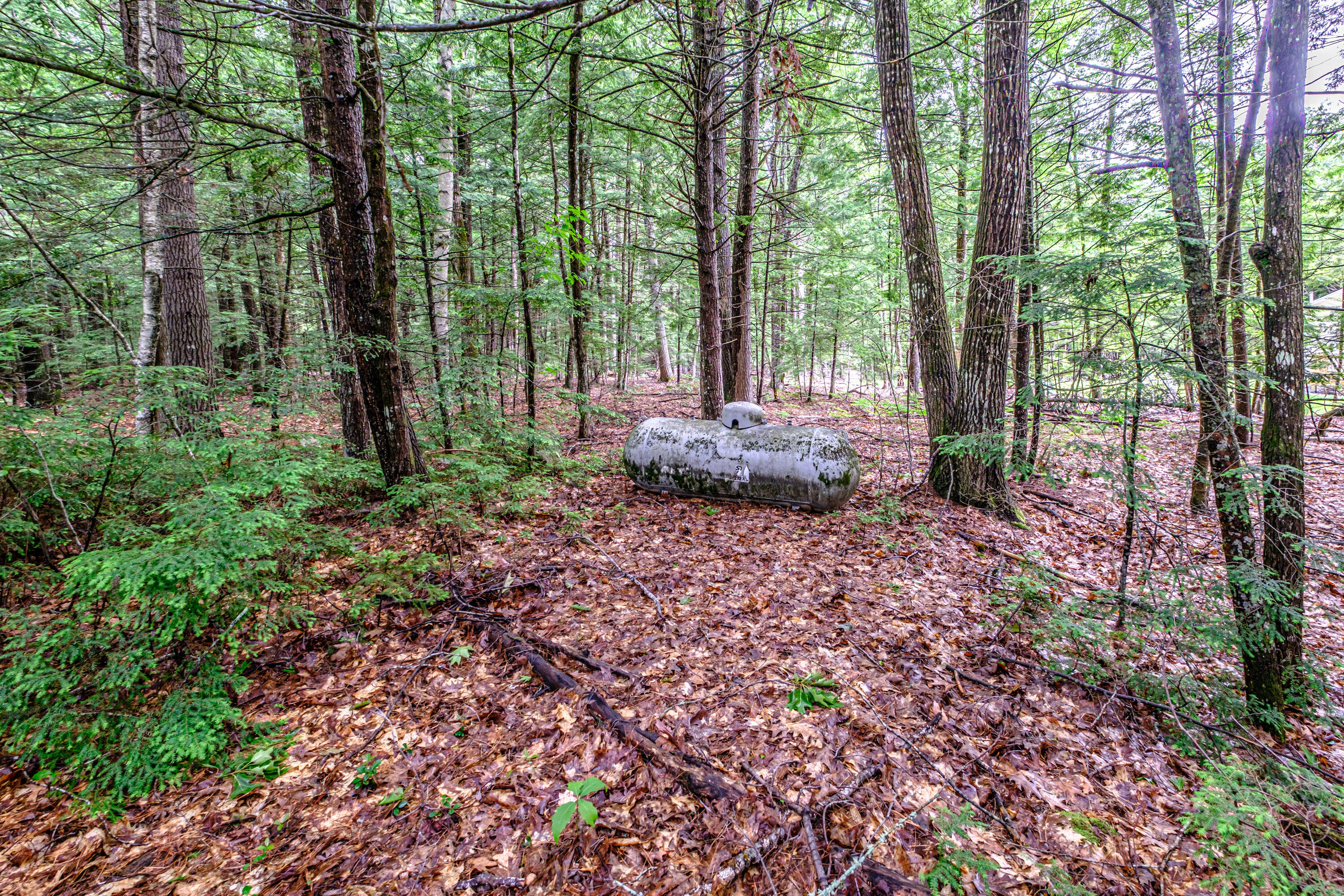 113 Colonial Circle Harrison, ME 04040 - Photo 51 of 52 20260623gp-60063