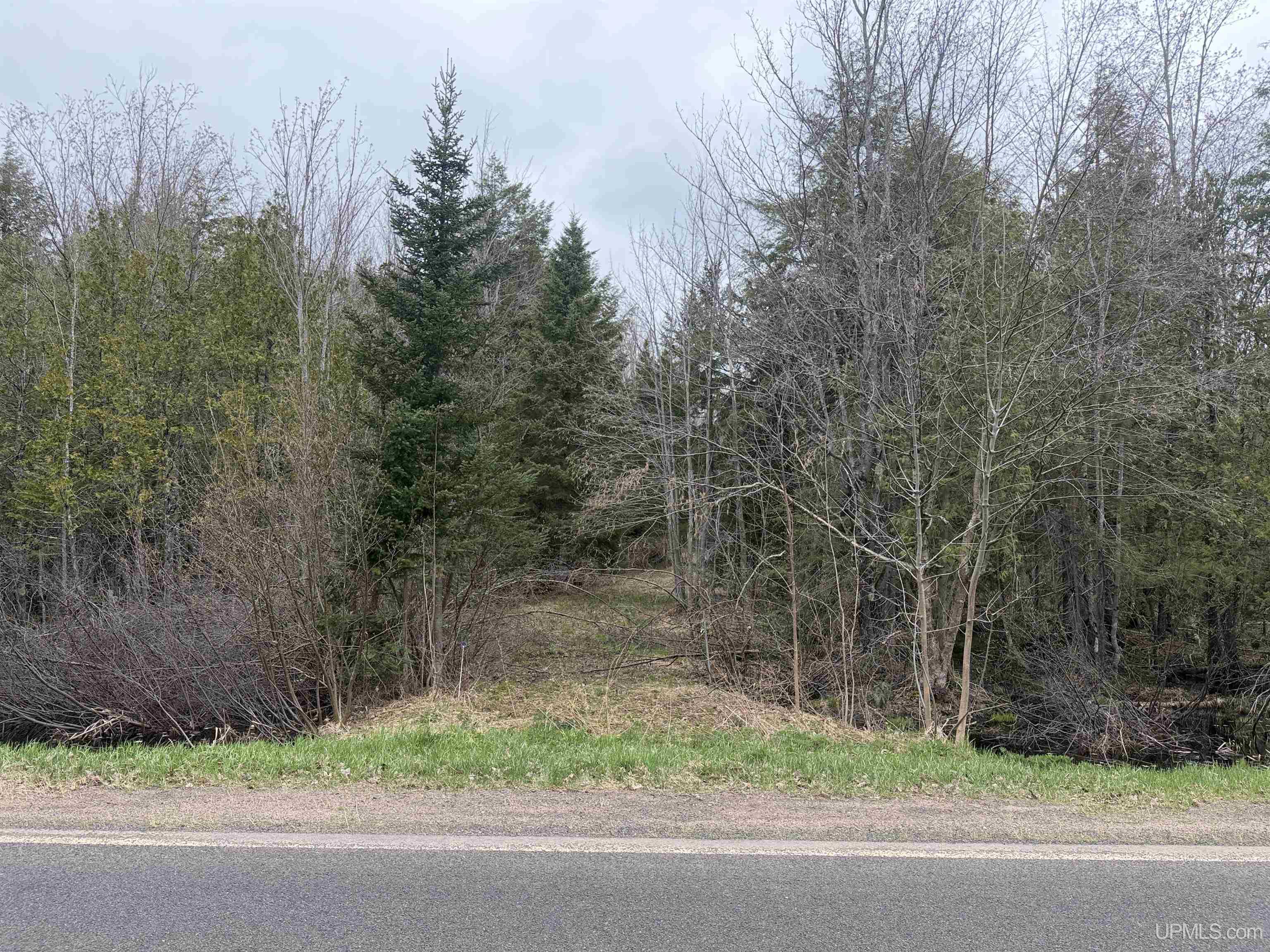 Tbd Lake Road Ironwood, MI 49938 - Photo 5 of 31