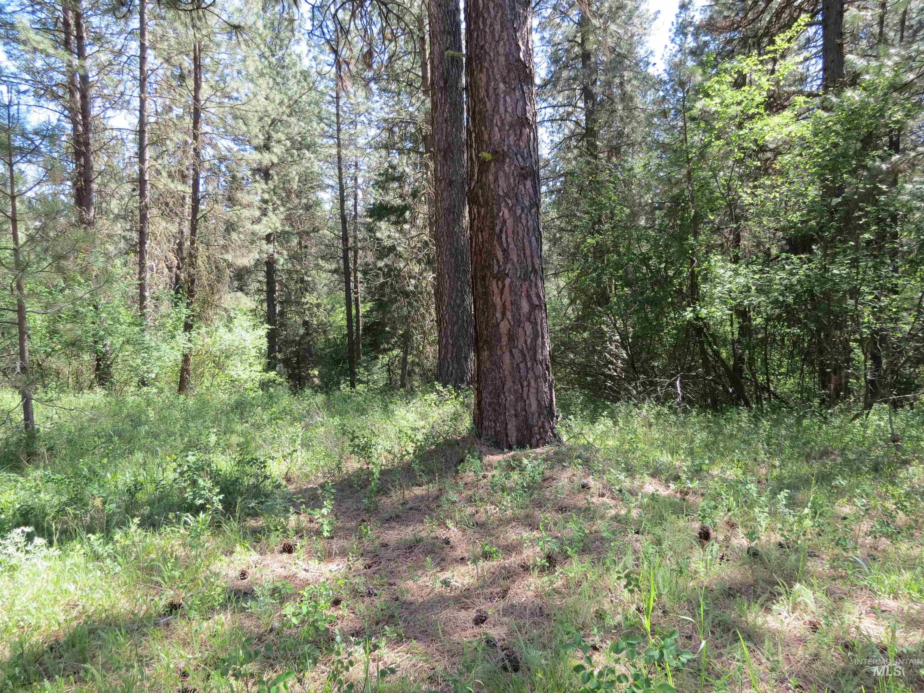 Parcel C Caseys Road Garden Valley, ID 83622 - Photo 13 of 20