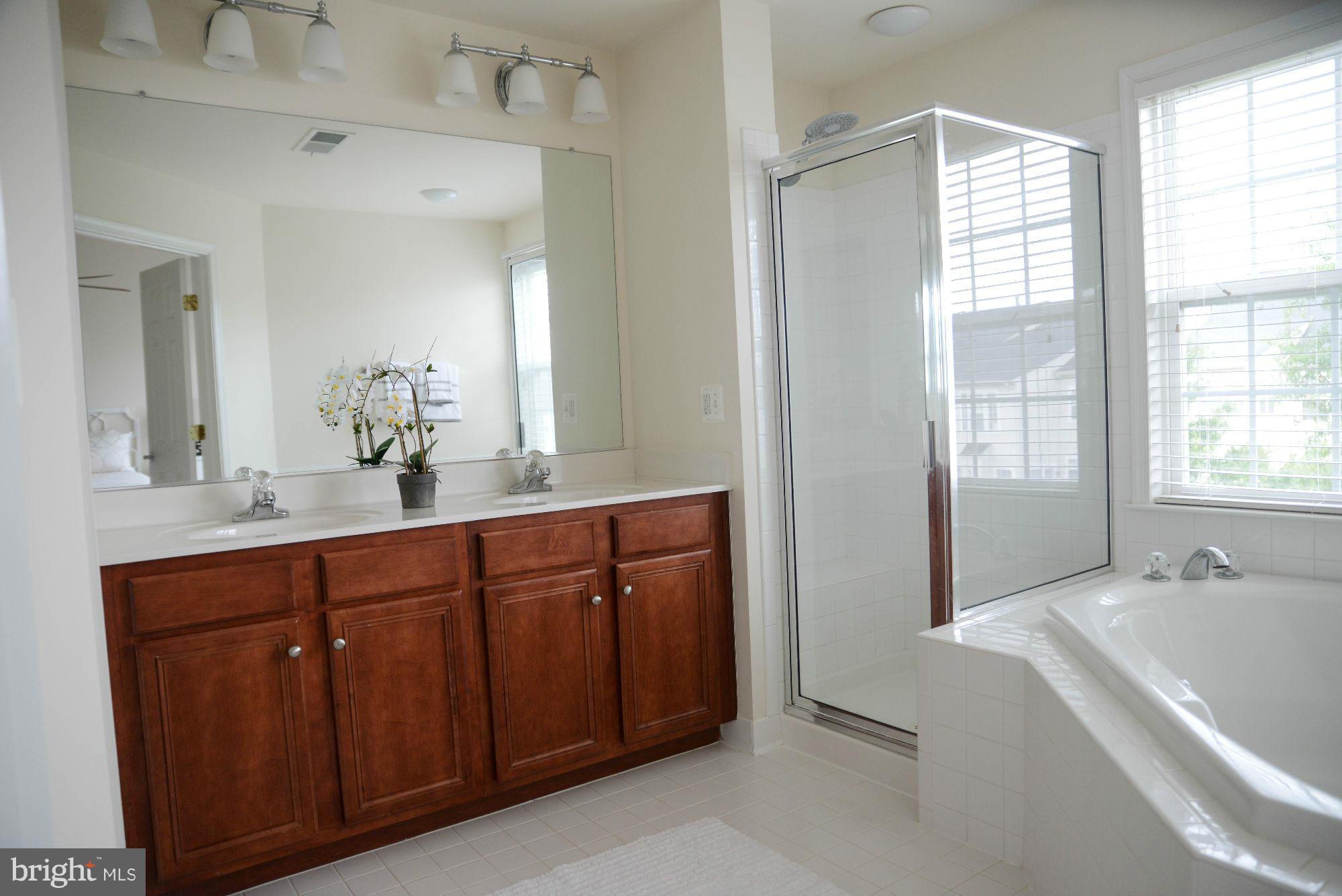 41898 Cinnabar Square Stone Ridge, VA 20105 - Photo 17 of 30 Bath (Master)