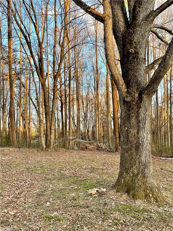 912 Buck Fork Road Dobson, NC 27017 - Photo 18 of 24 Gallery Image 18