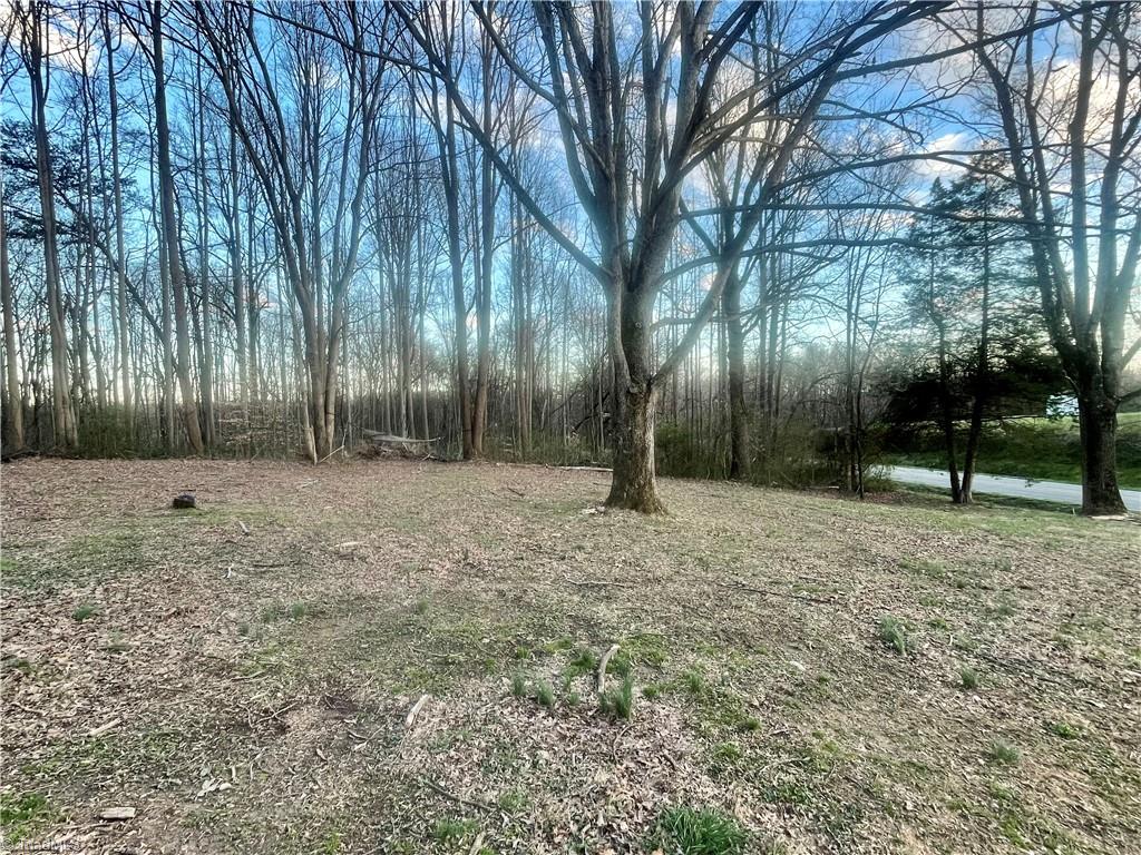 912 Buck Fork Road Dobson, NC 27017 - Photo 19 of 24 Gallery Image 19
