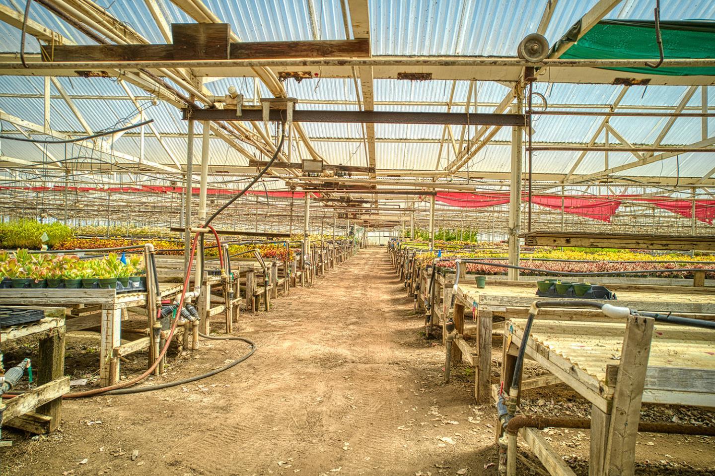 21 Lilly Way Watsonville, CA 95076 - Photo 11 of 47 a view of a indoor swimming pool