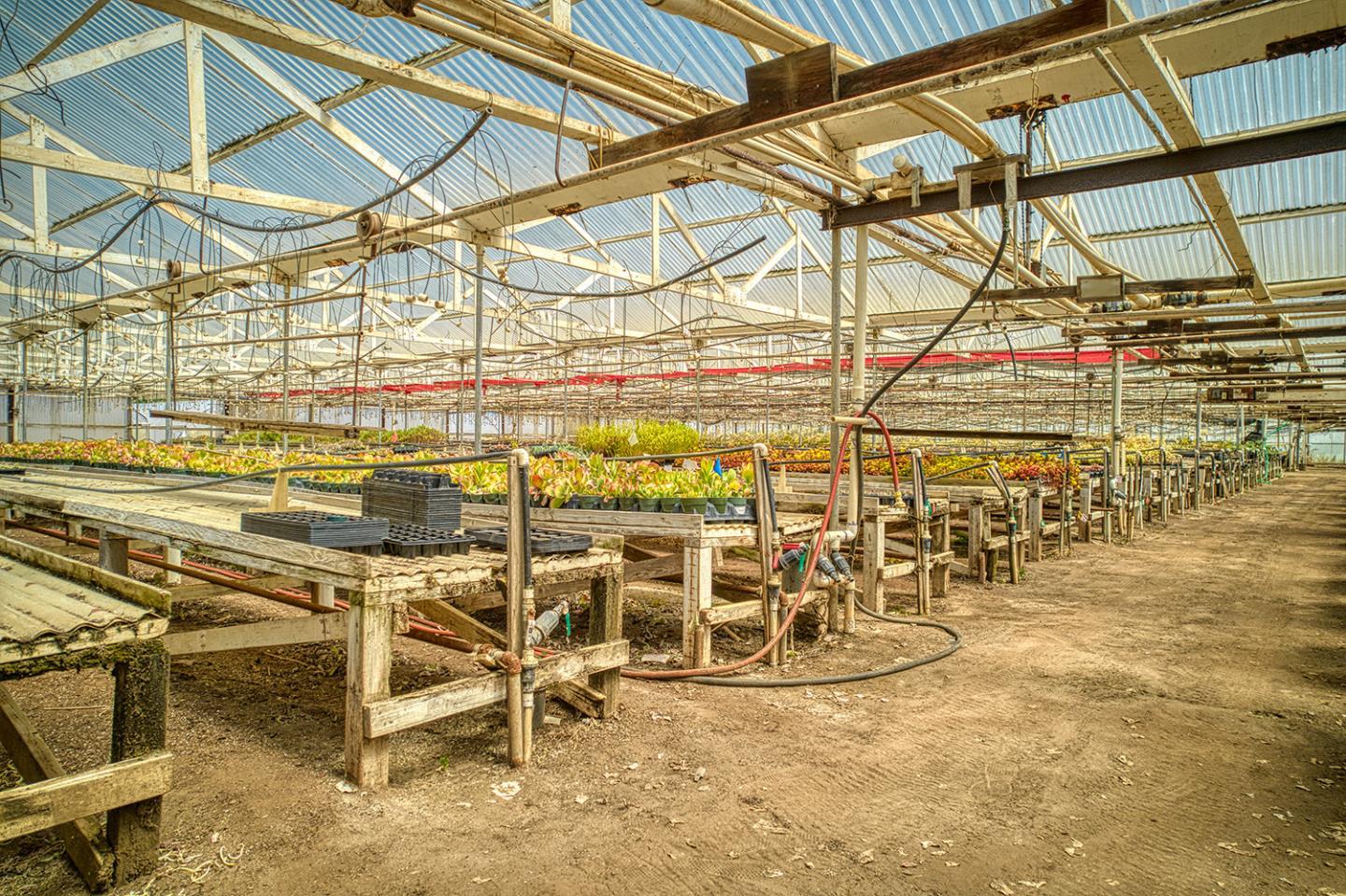 21 Lilly Way Watsonville, CA 95076 - Photo 12 of 47 a view of a indoor swimming pool