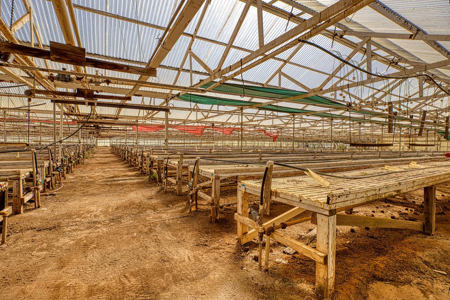 21 Lilly Way Watsonville, CA 95076 - Photo 46 of 47 a view of a room with wooden racks