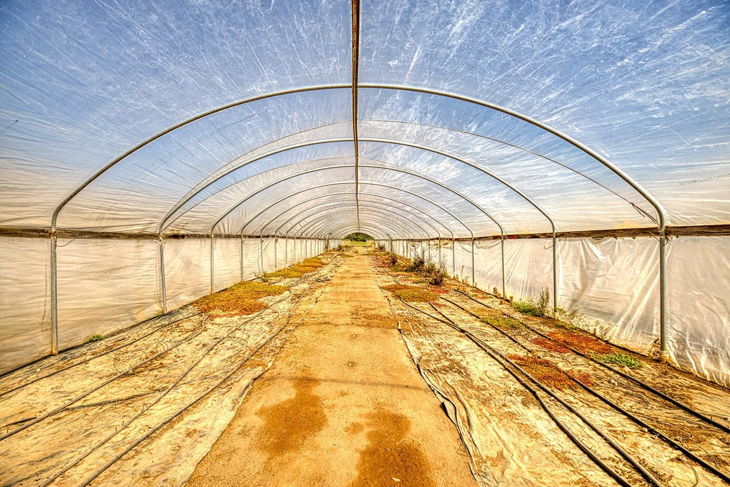 21 Lilly Way Watsonville, CA 95076 - Photo 7 of 47 a view of an indoor swimming pool