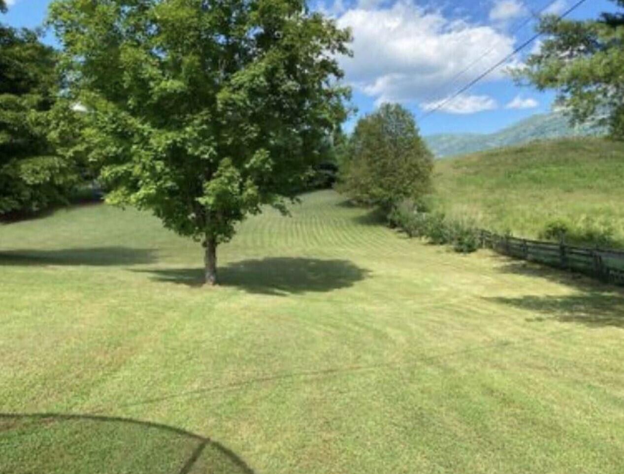 5414 Back Valley Road Big Stone Gap, VA 24219 - Photo 9 of 30 yard 2