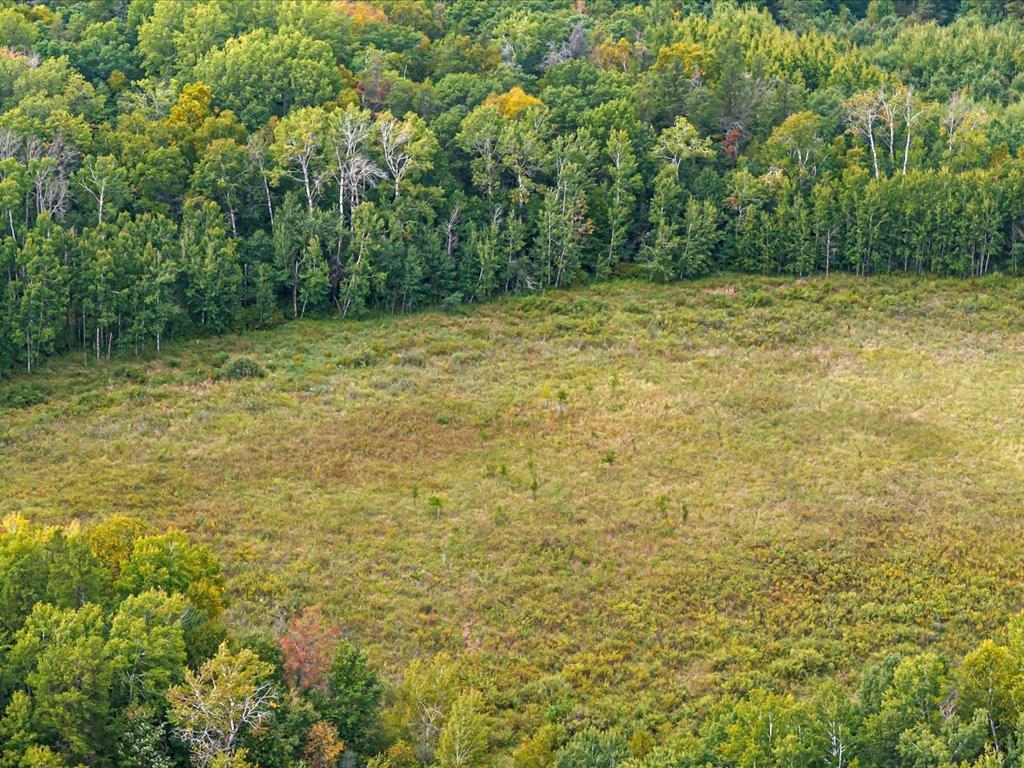 Parcel G East Horseshoe Lake Road Merrifield, MN 56465 - Photo 14 of 28 Gallery Image 14