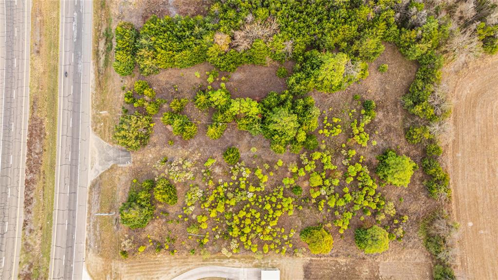 725 Southwest Loop 286 Paris, TX 75460 - Photo 9 of 21 a close up of a plant