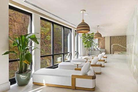 a living room with furniture a chandelier and a potted plant