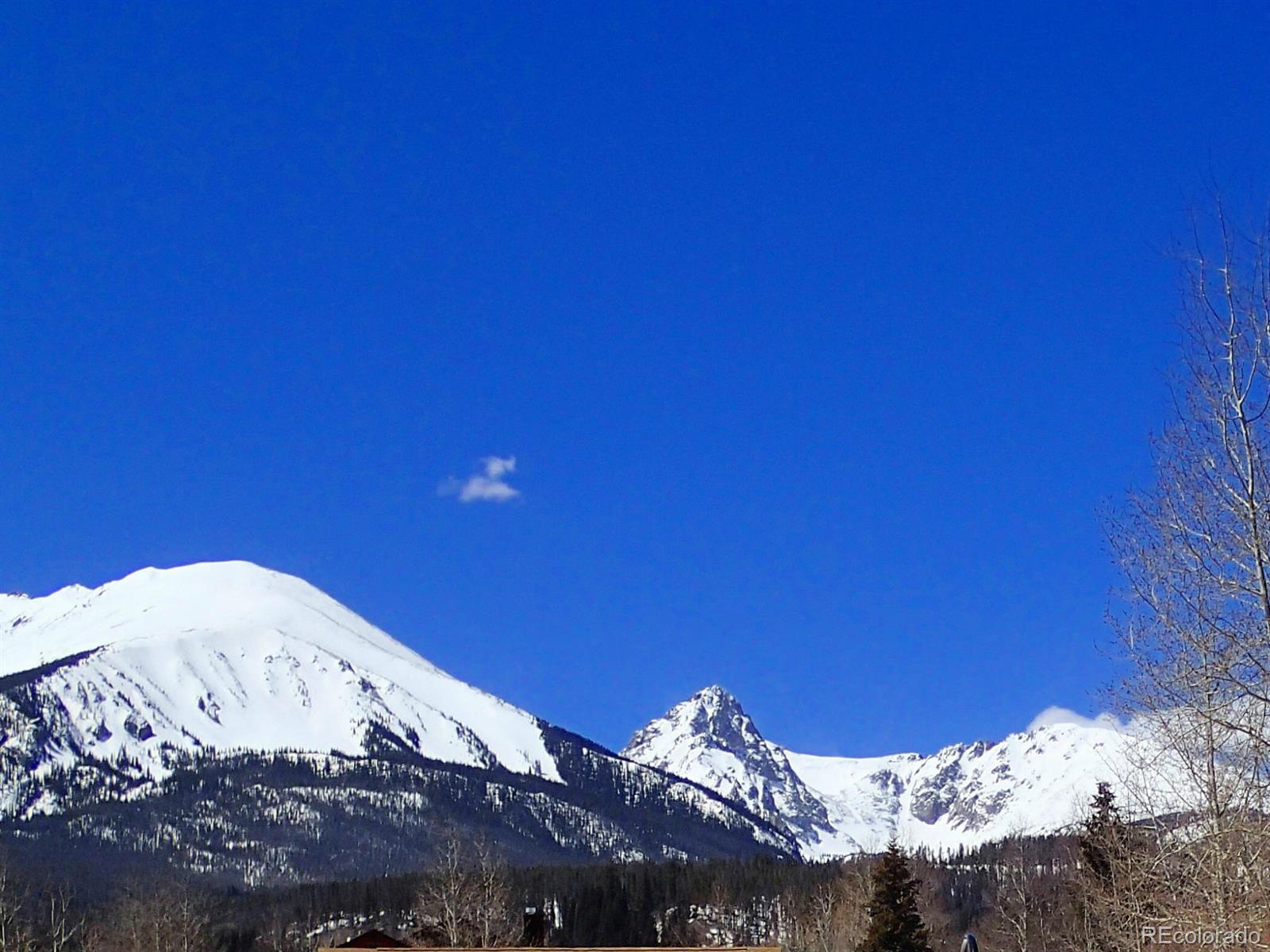 229 East Rabbit Court Silverthorne, CO 80498 - Photo 1 of 1 Gallery Image 1