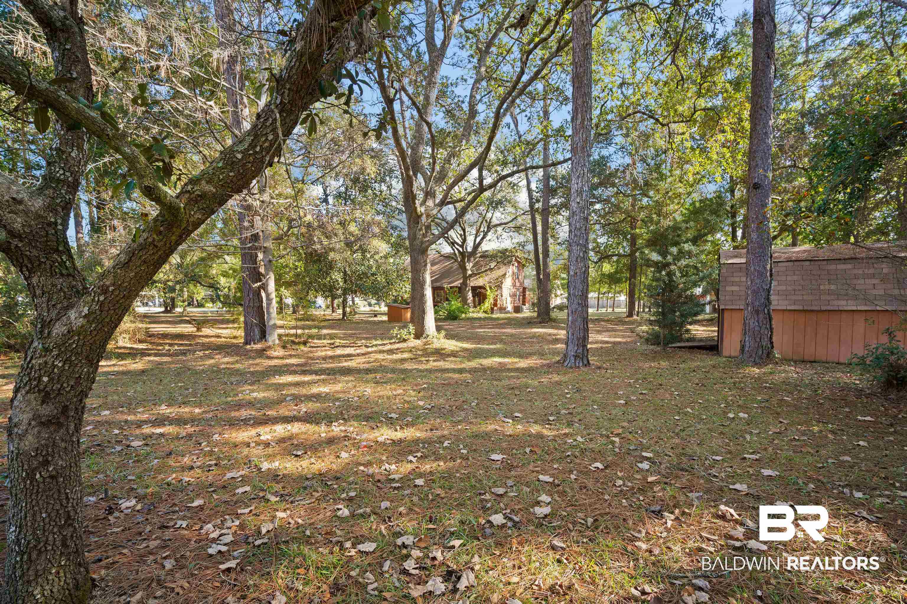 11236 Wren Avenue Fairhope, AL 36532 - Photo 26 of 35 View of yard with a storage shed and view of wooded area