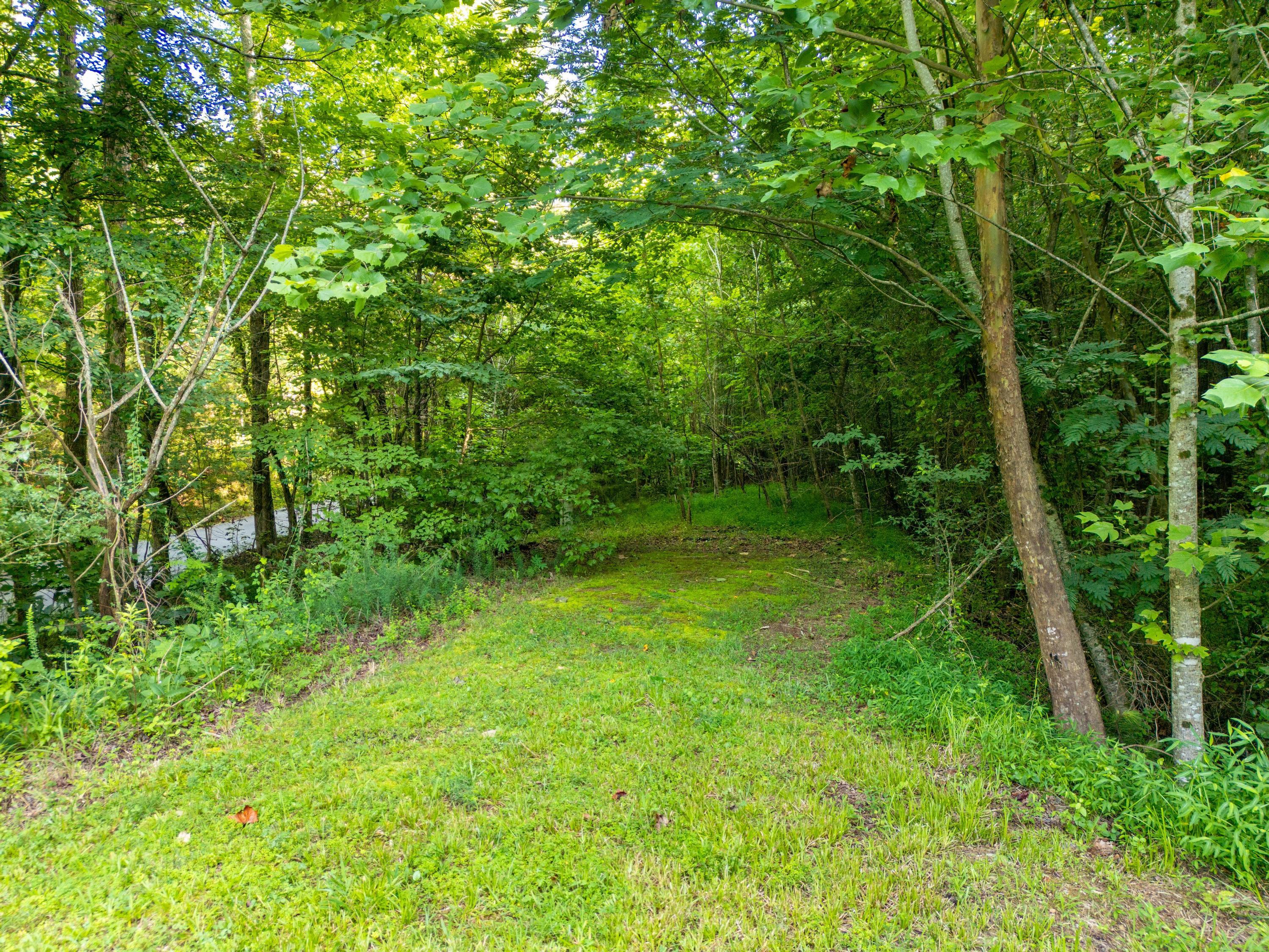 1441 Sloans Gap Road Ocoee, TN 37361 - Photo 33 of 36 2025_06_June_1441_Sloan_Gap_Rd_0007