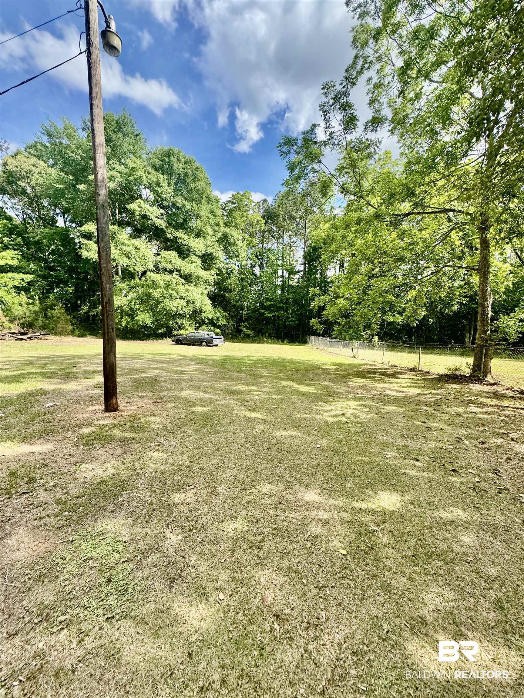 226 Elizabeth Street Evergreen, AL 36401 - Photo 6 of 35 Expansive grassy yard area defined by mature trees and a partial wire fence