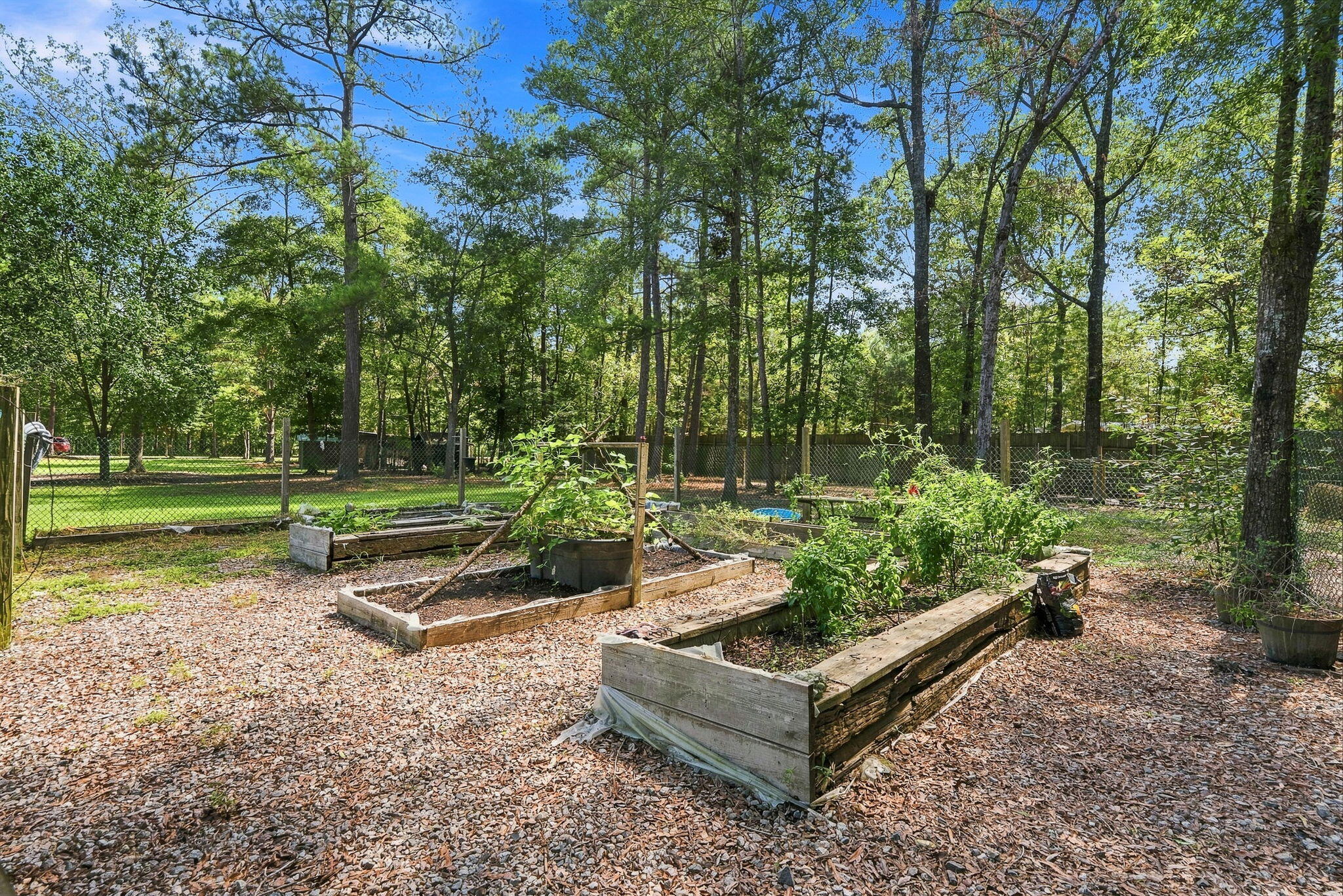 725 Yellow Brick Road Bonneau, SC 29431 - Photo 10 of 48 58-web-or-mls-Barclay Media Co -12
