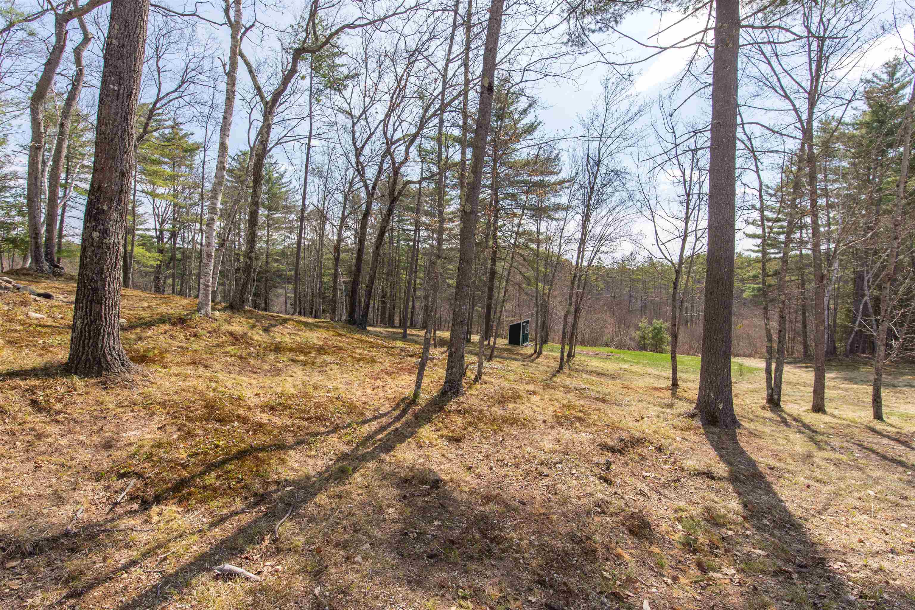 63 Colton Rdg Road Tamworth, NH 03817 - Photo 8 of 60 Gallery Image 8