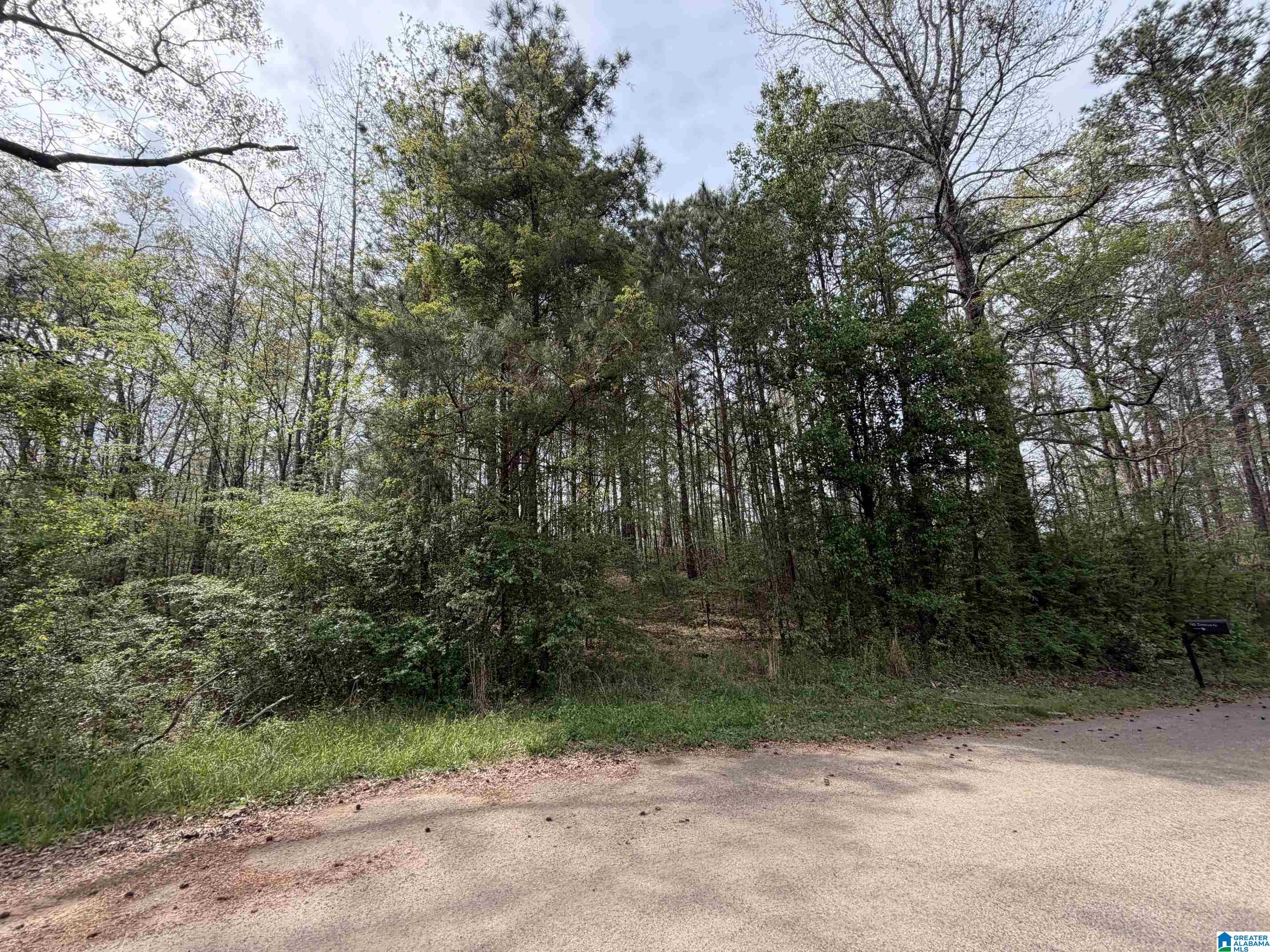 0 James Lake Road, Unit 1 Trussville, AL 35173 - Photo 3 of 18