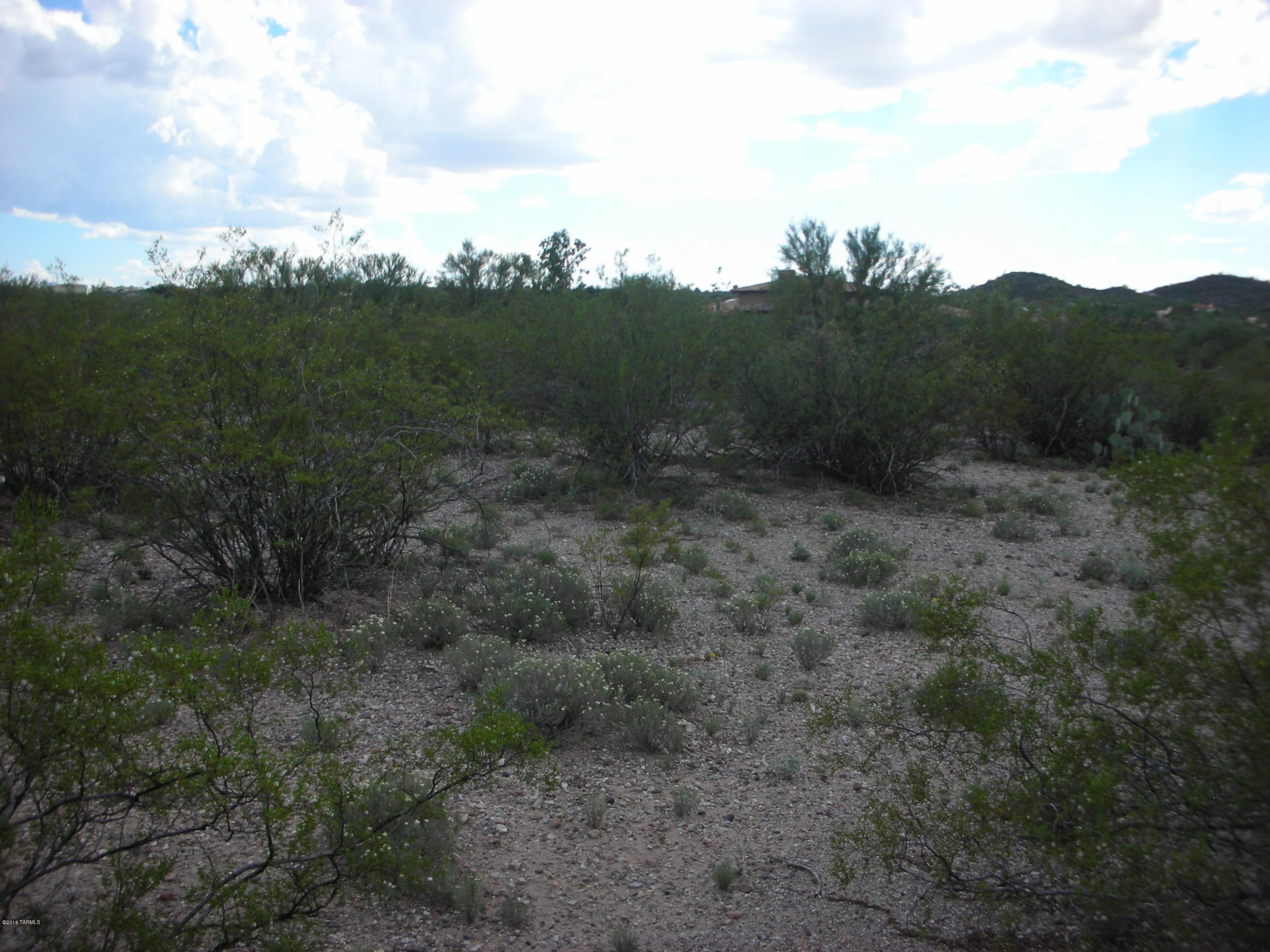 South Freeman Road Tucson, AZ 85748 - Photo 4 of 12
