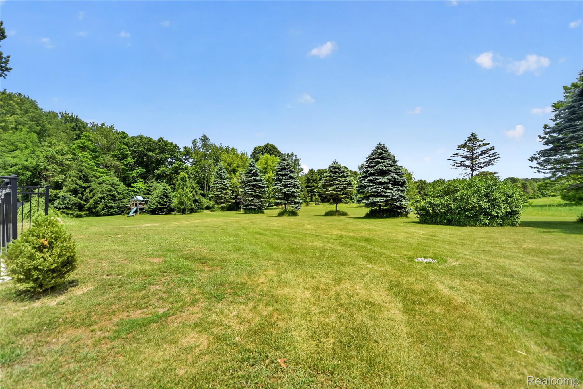 13635 Unadilla Road Gregory, MI 48137 - Photo 49 of 68 Expansive green lawn with mature evergreen trees and a backdrop of dense foliage