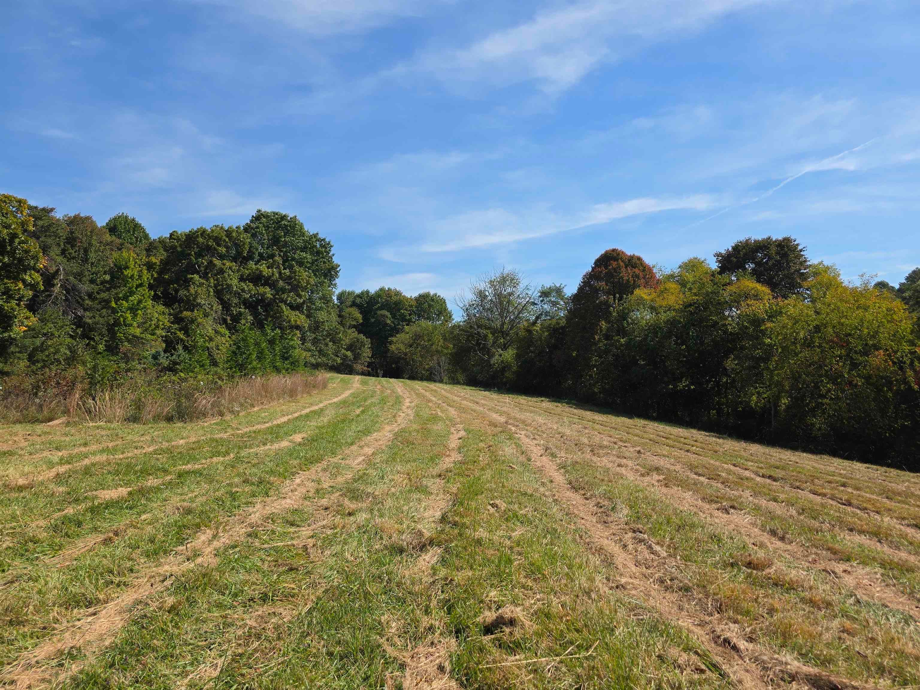 Tbd Ridge Road Northeast Pilot, VA 24138 - Photo 15 of 26 Gallery Image 15