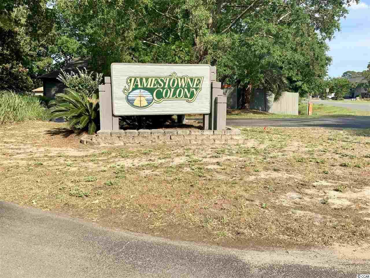 709 Colony Drive Murrells Inlet, SC 29576 - Photo 39 of 39