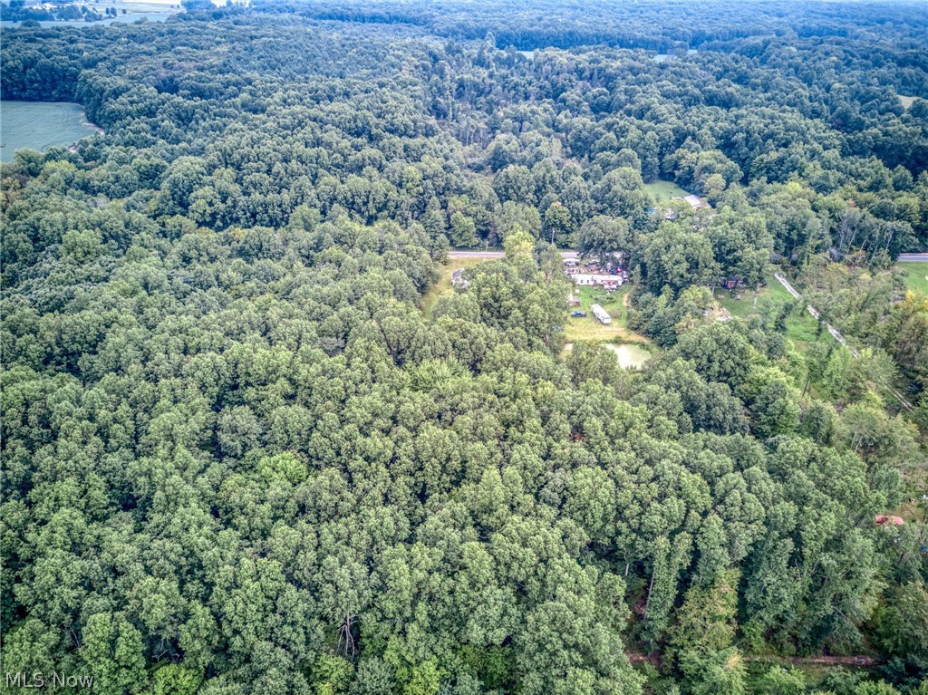 8386 Yale Road Rootstown, OH 44272 - Photo 35 of 46 Expansive wooded acreage with a cleared building site, featuring a pond and surrounding natural landscape
