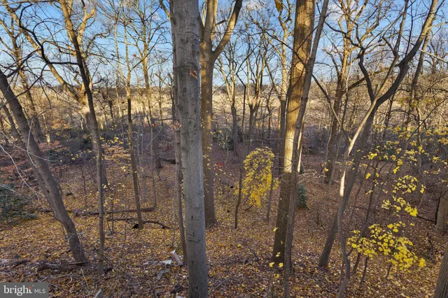 a backyard of a house with large trees and a barn
