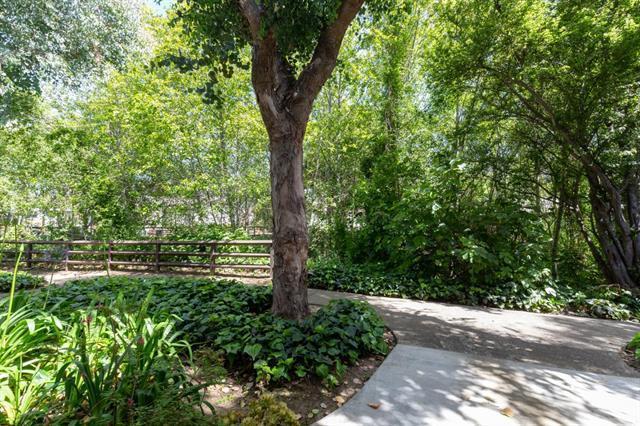 1265 Rosita Road Pacifica, CA 94044 - Photo 14 of 15 a backyard of a house with lots of green space