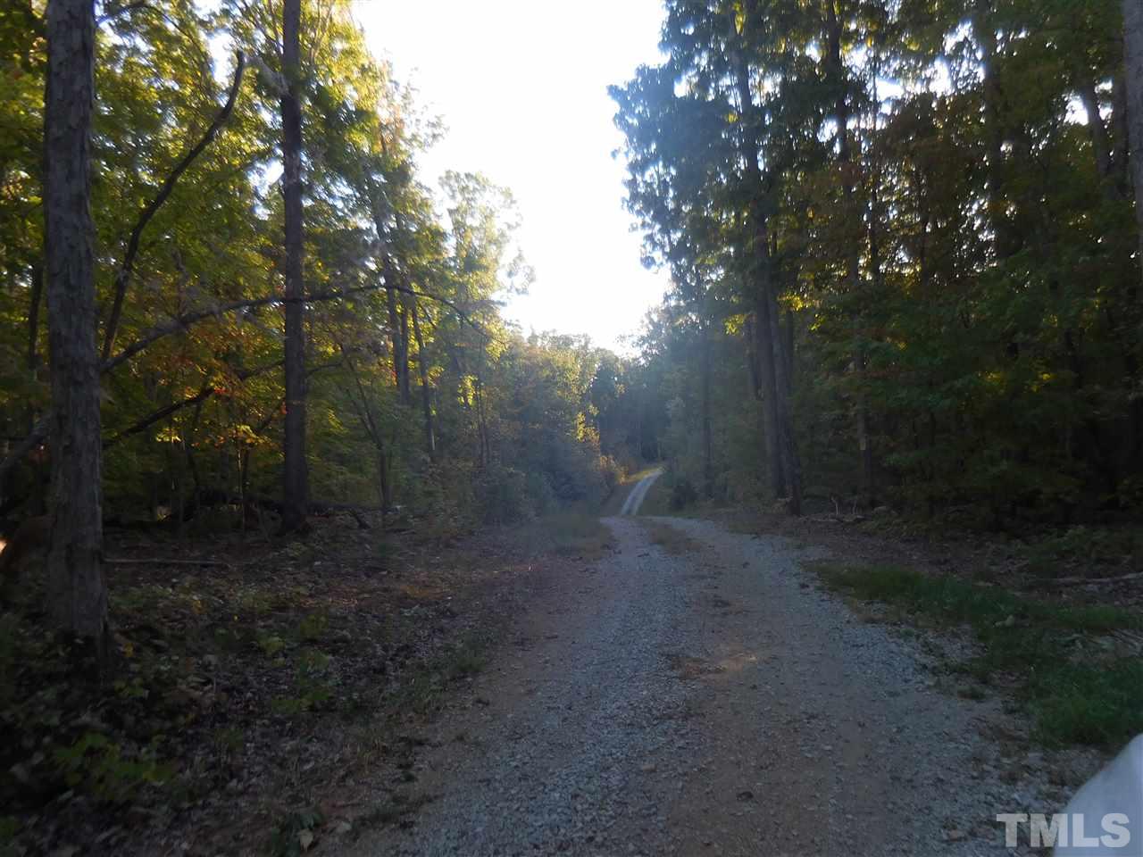 217 Crabtree Glenn Road Rougemont, NC 27572 - Photo 1 of 1 a view of a forest with trees