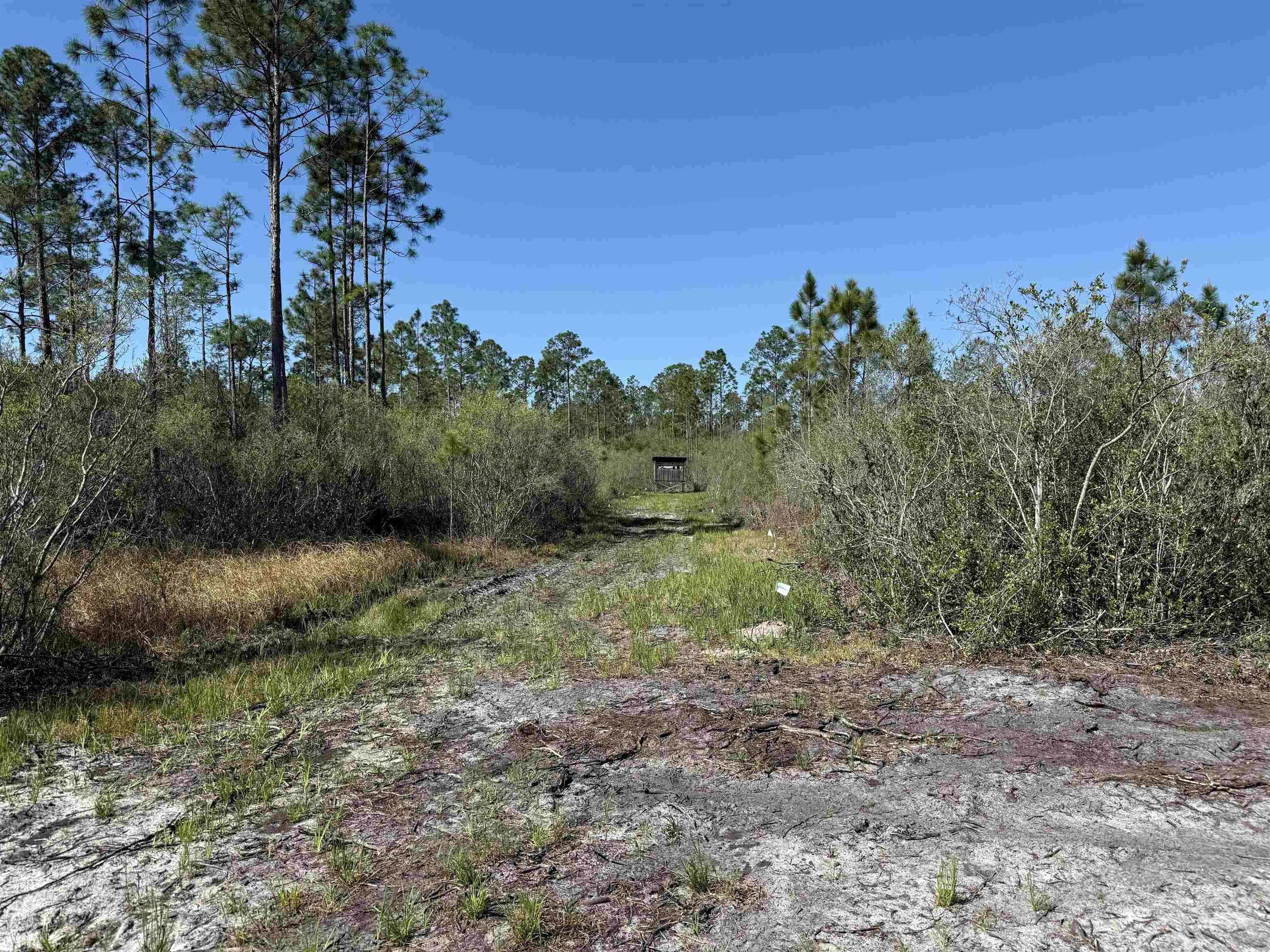 0 Madison Main Line Road Perry, FL 32347 - Photo 42 of 50