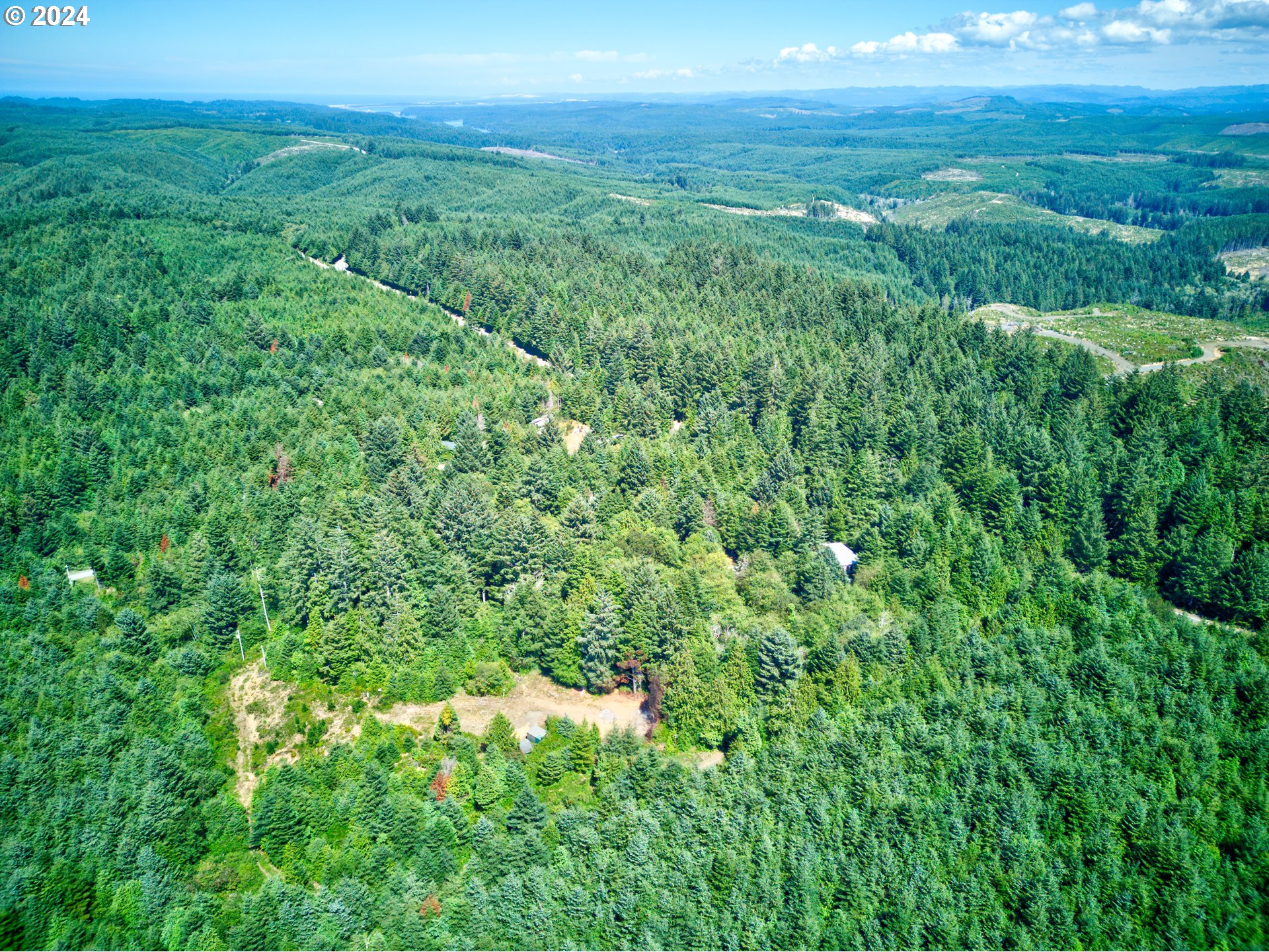 59430 West Beaver Hill Road Bandon, OR 97411 - Photo 12 of 14 a view of a lush green space