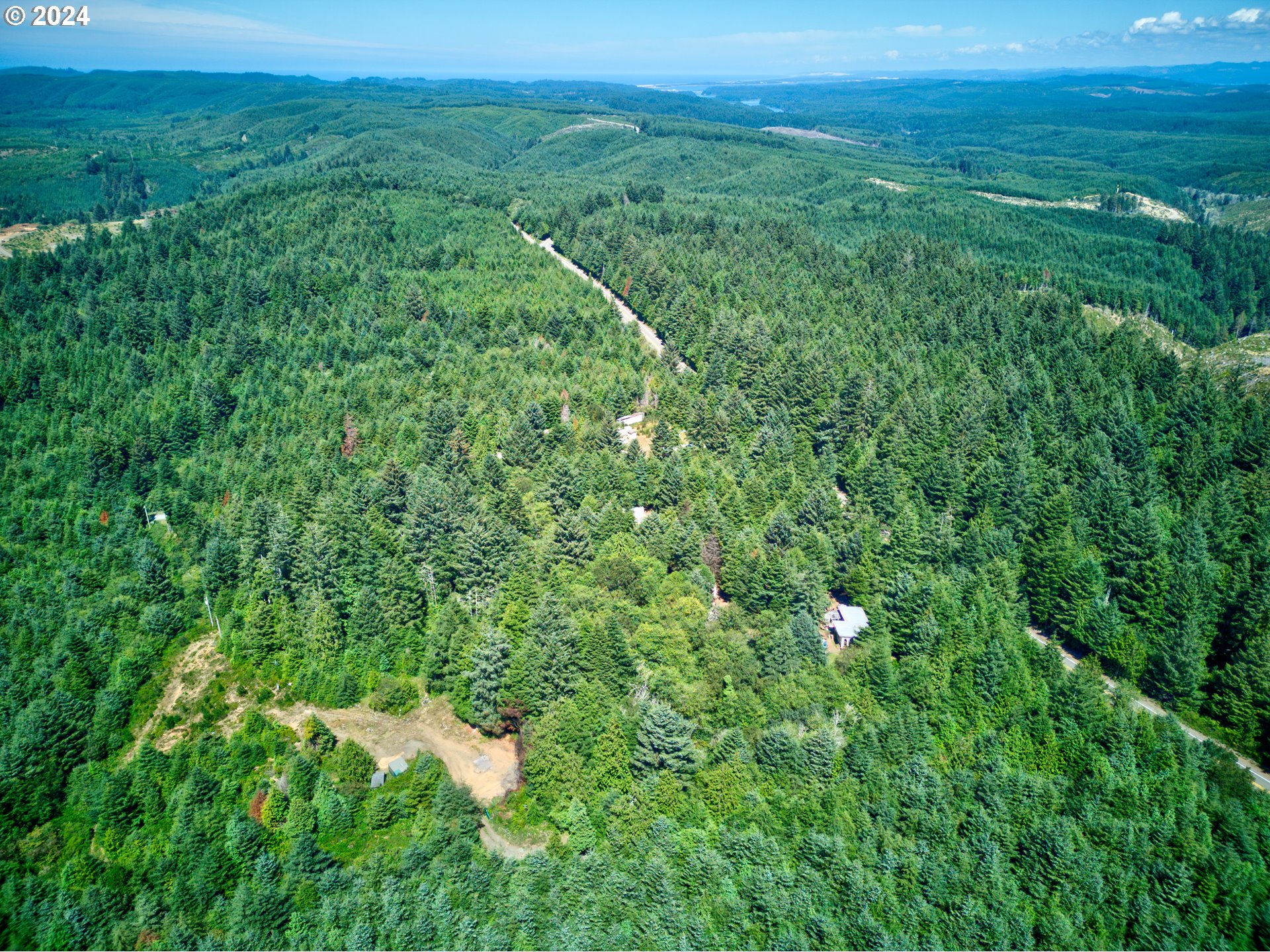59430 West Beaver Hill Road Bandon, OR 97411 - Photo 6 of 14 a view of a city and lush green forest