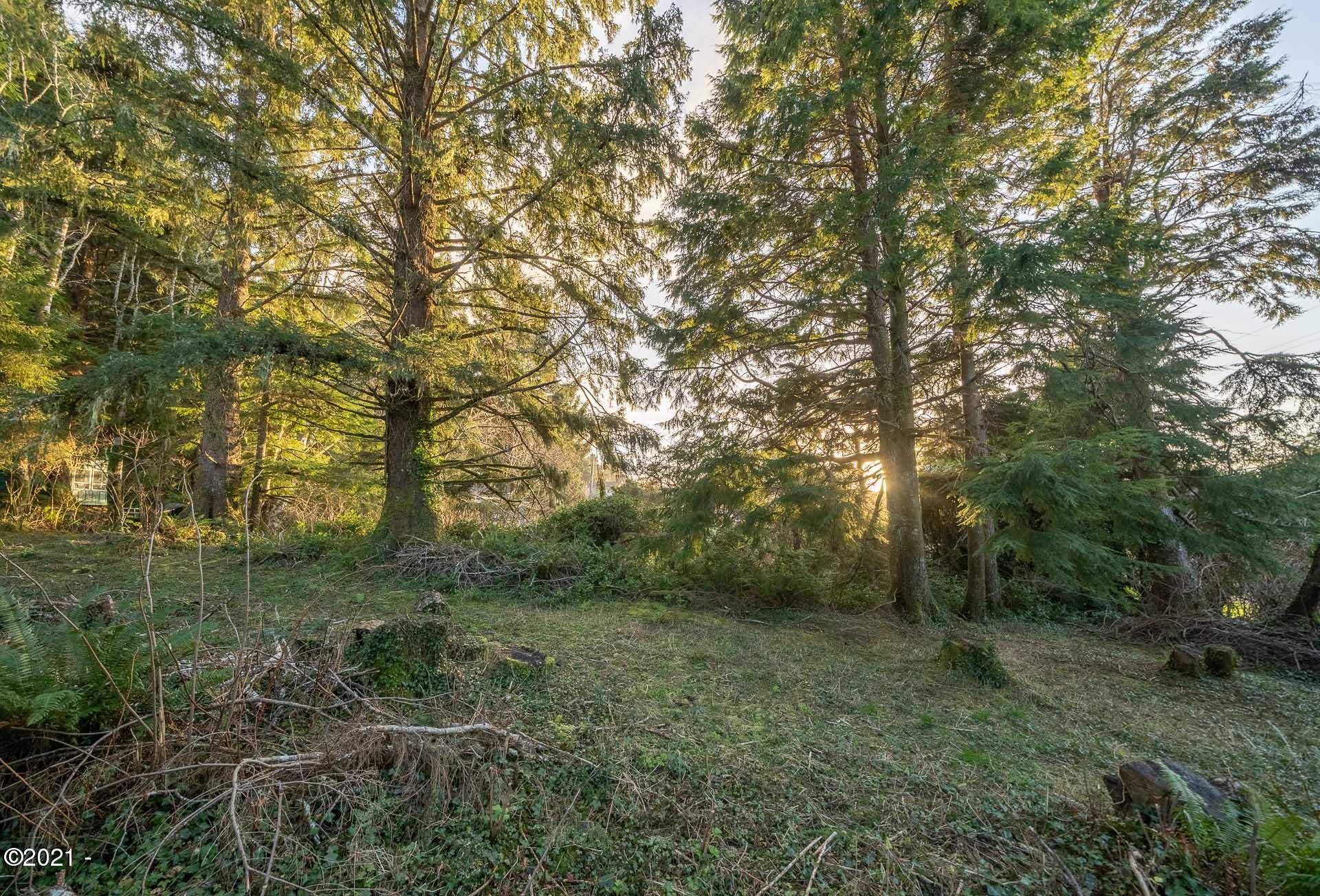 158 Highway 101 Yachats, OR 97498 - Photo 13 of 21 _DSC4669-HDR