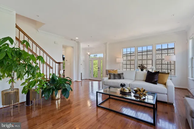a living room with furniture and a potted plant with wooden floor