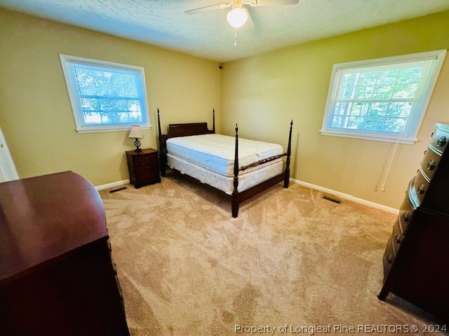 434 Windsor Road Lumberton, NC 28358 - Photo 31 of 42