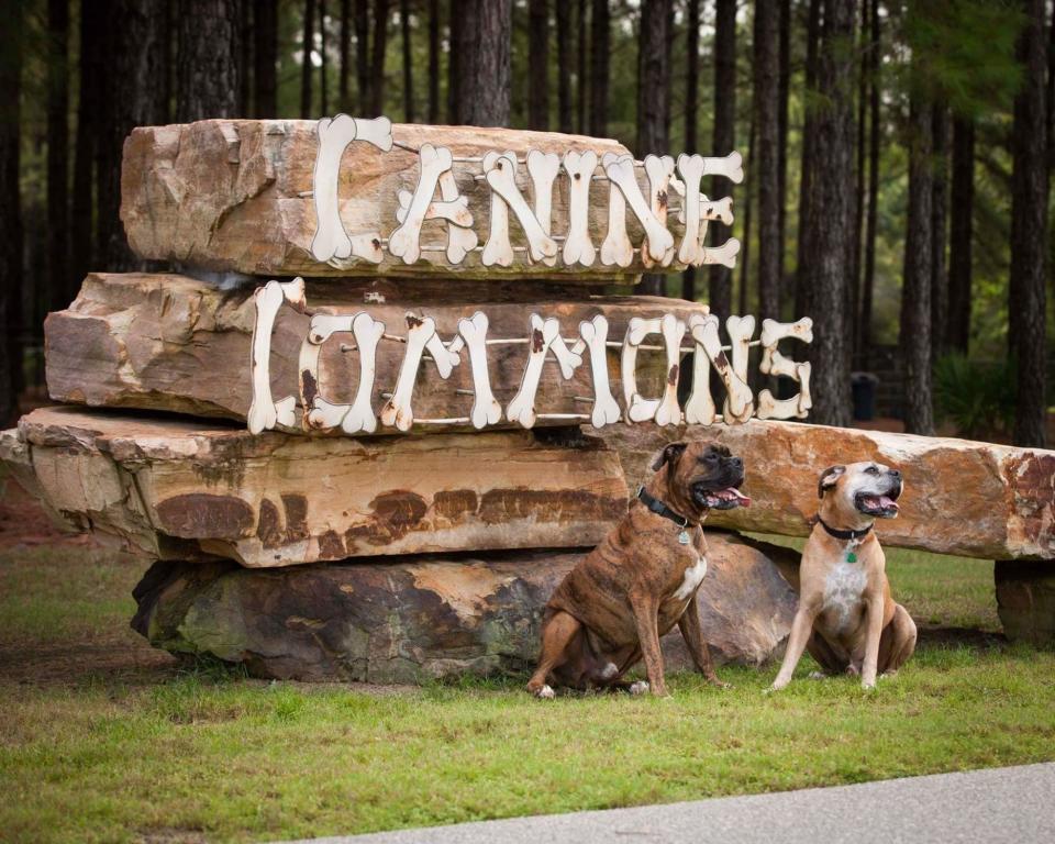 321 Fanny Ann Way Freeport, FL 32439 - Photo 26 of 38 a view of swimming pool with a yard