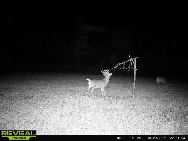 Lot 4 Grayling Tomah, WI 54660 - Photo 40 of 50