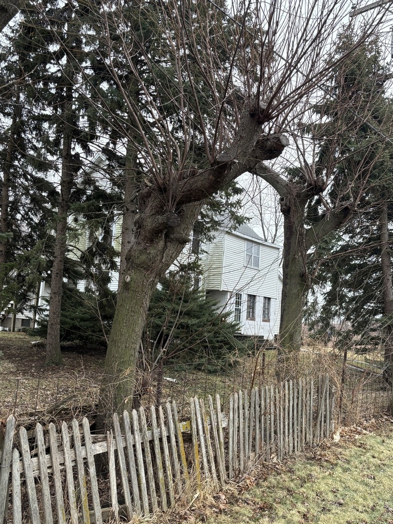 25241 South Will Center Road Monee, IL 60449 - Photo 14 of 17 a front view of a house with a tree
