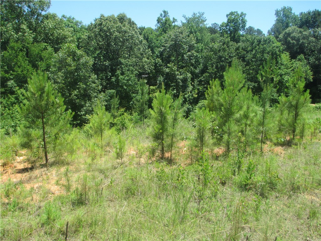 1110 Miller Road Westminster, SC 29693 - Photo 1 of 9 Gallery Image 1