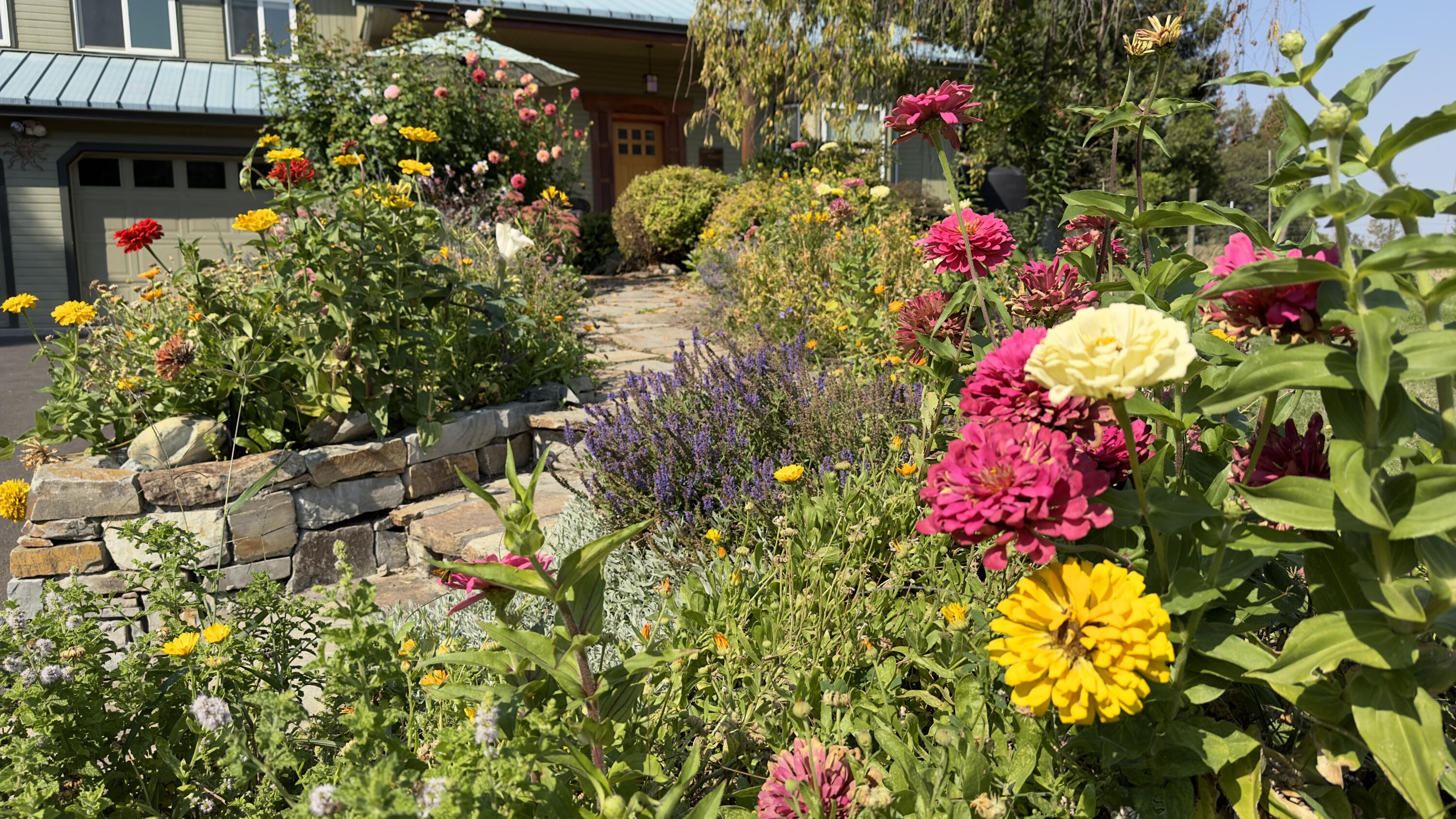 8548 Wagner Creek Road Talent, OR 97540 - Photo 100 of 100 76. flowers