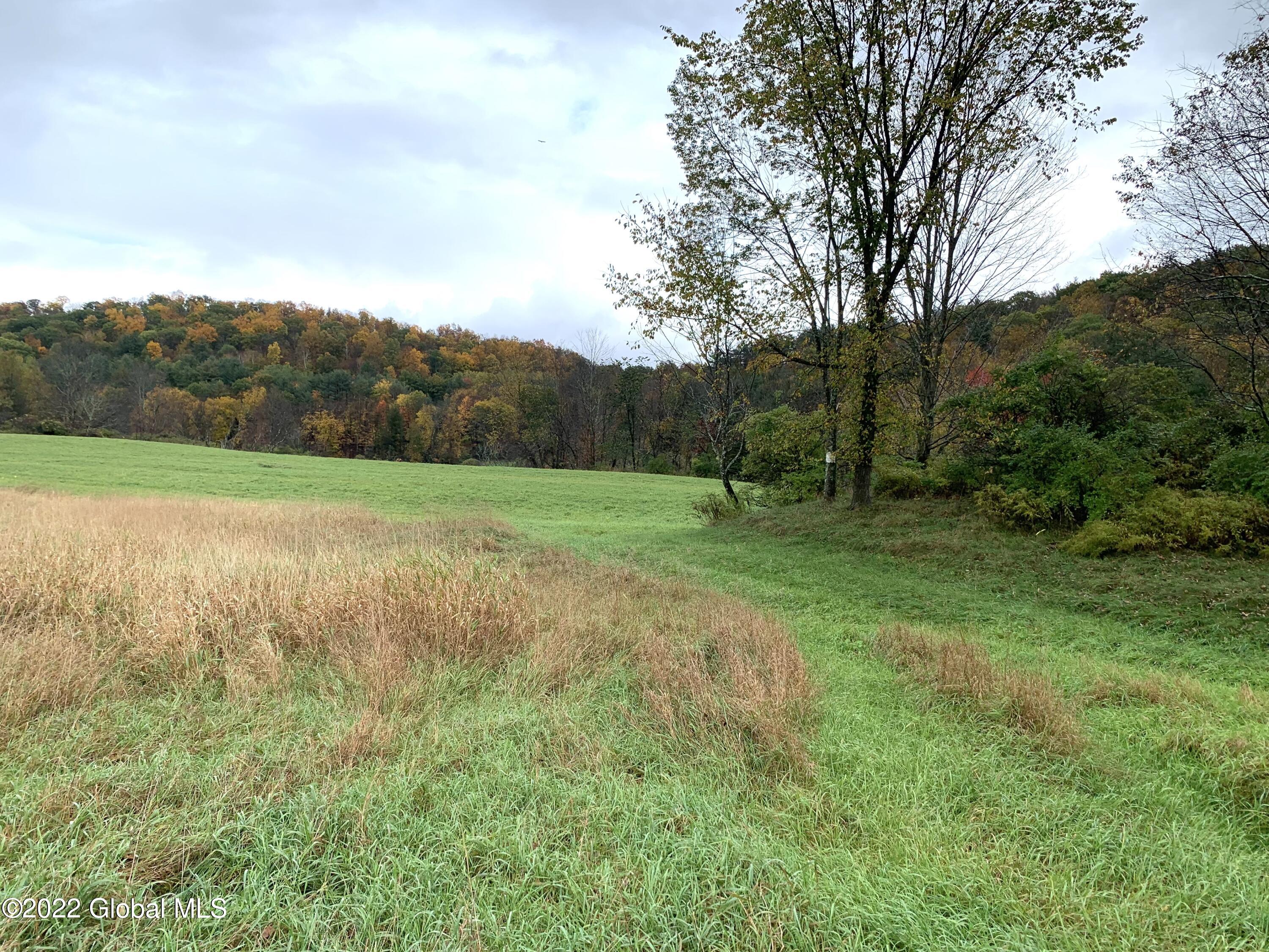Lot 2 County Rt 64 Shushan, NY 12873 - Photo 1 of 9 View