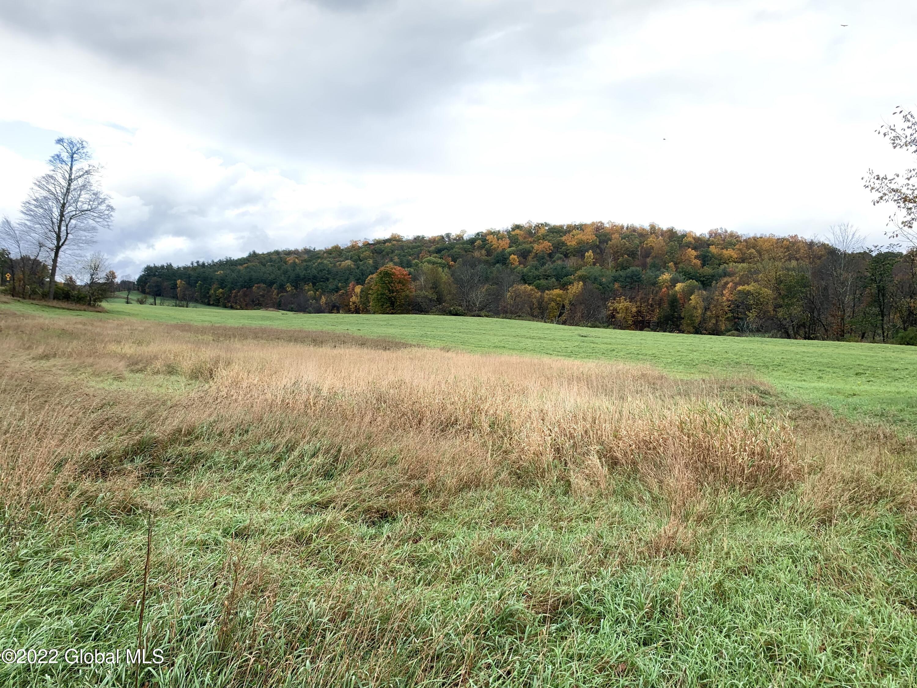 Lot 2 County Rt 64 Shushan, NY 12873 - Photo 3 of 9 Lot 2 a