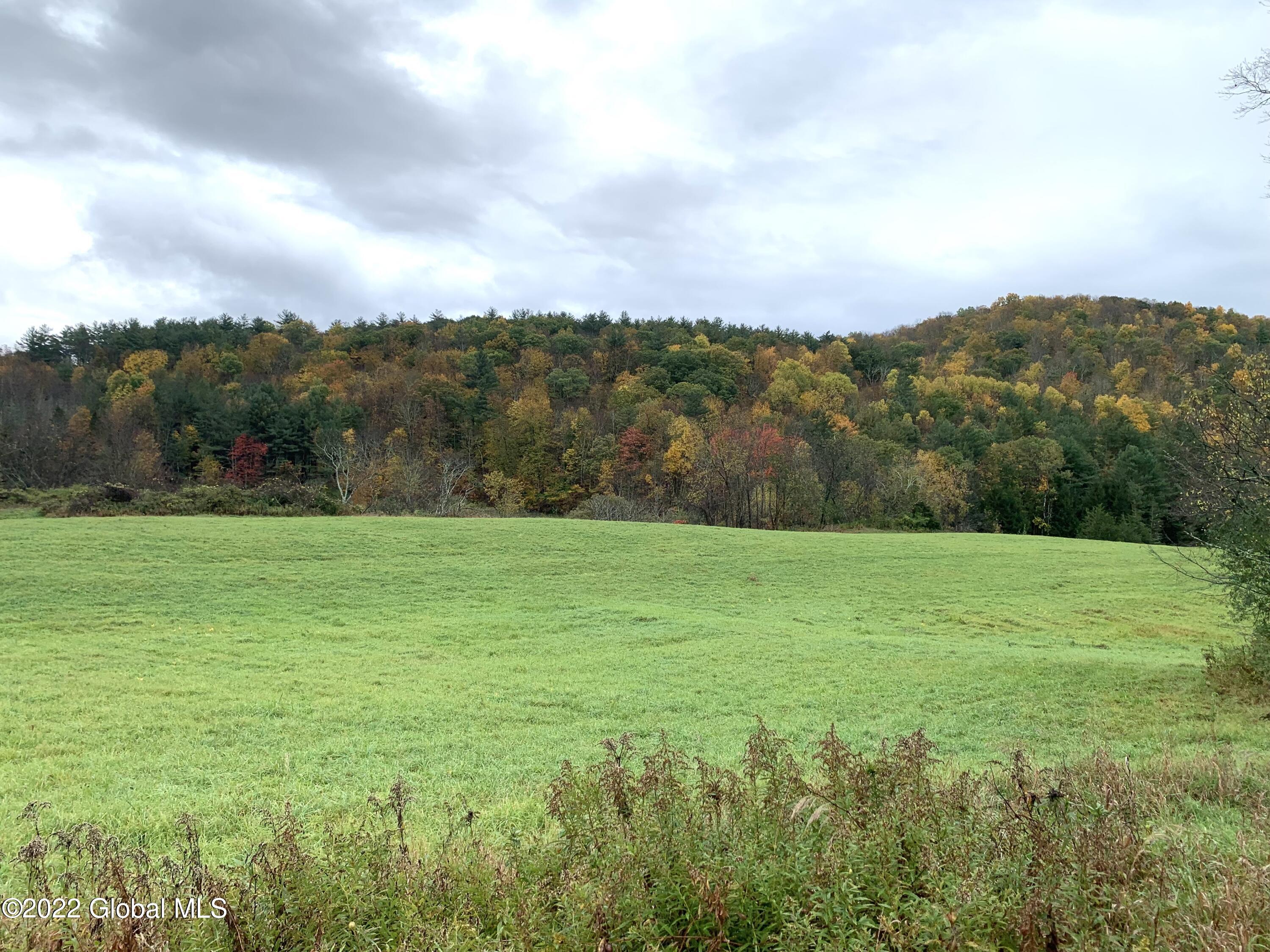 Lot 2 County Rt 64 Shushan, NY 12873 - Photo 4 of 9 Lot 2 across field