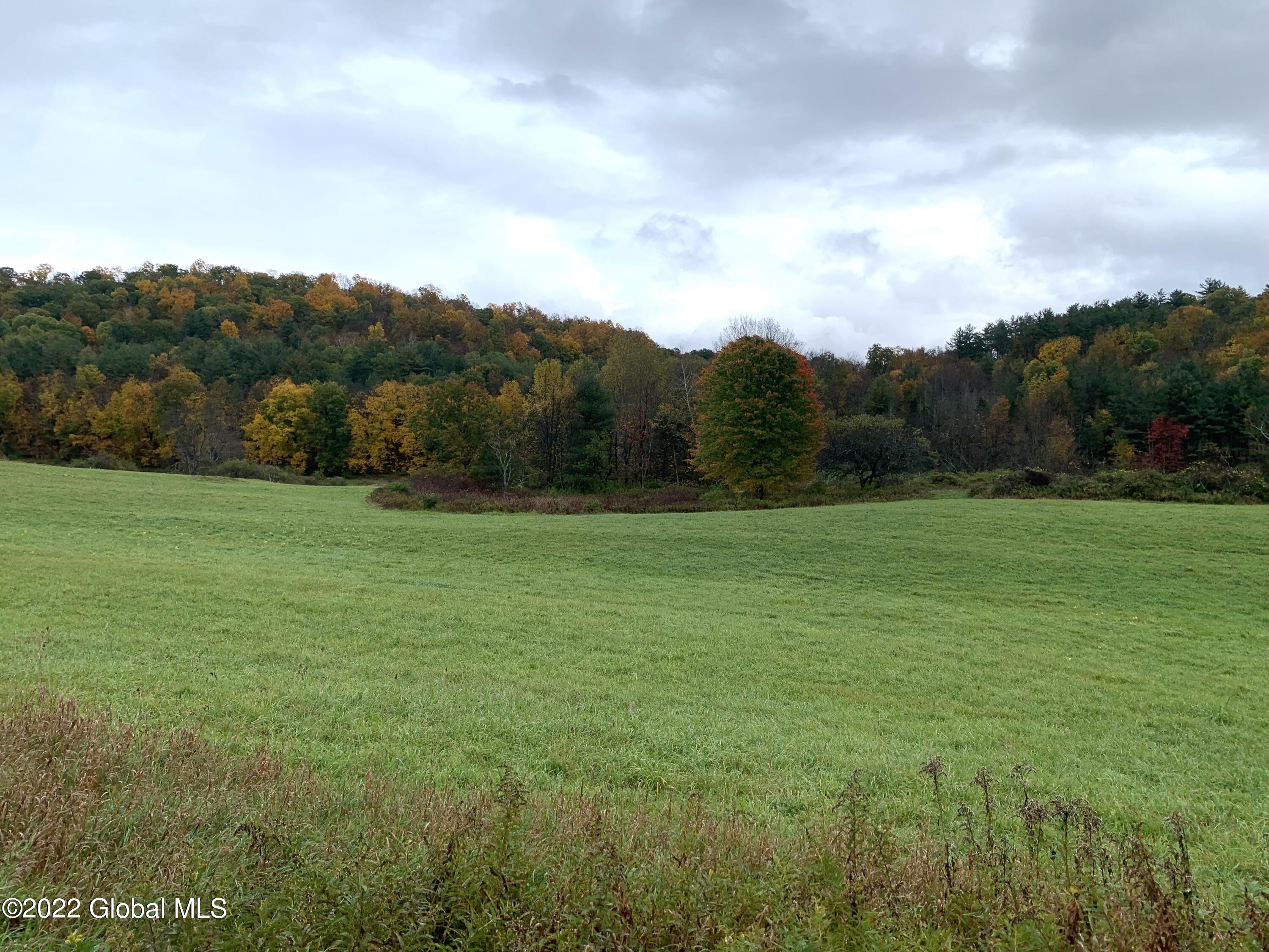 Lot 2 County Rt 64 Shushan, NY 12873 - Photo 5 of 9 Lot 2 c