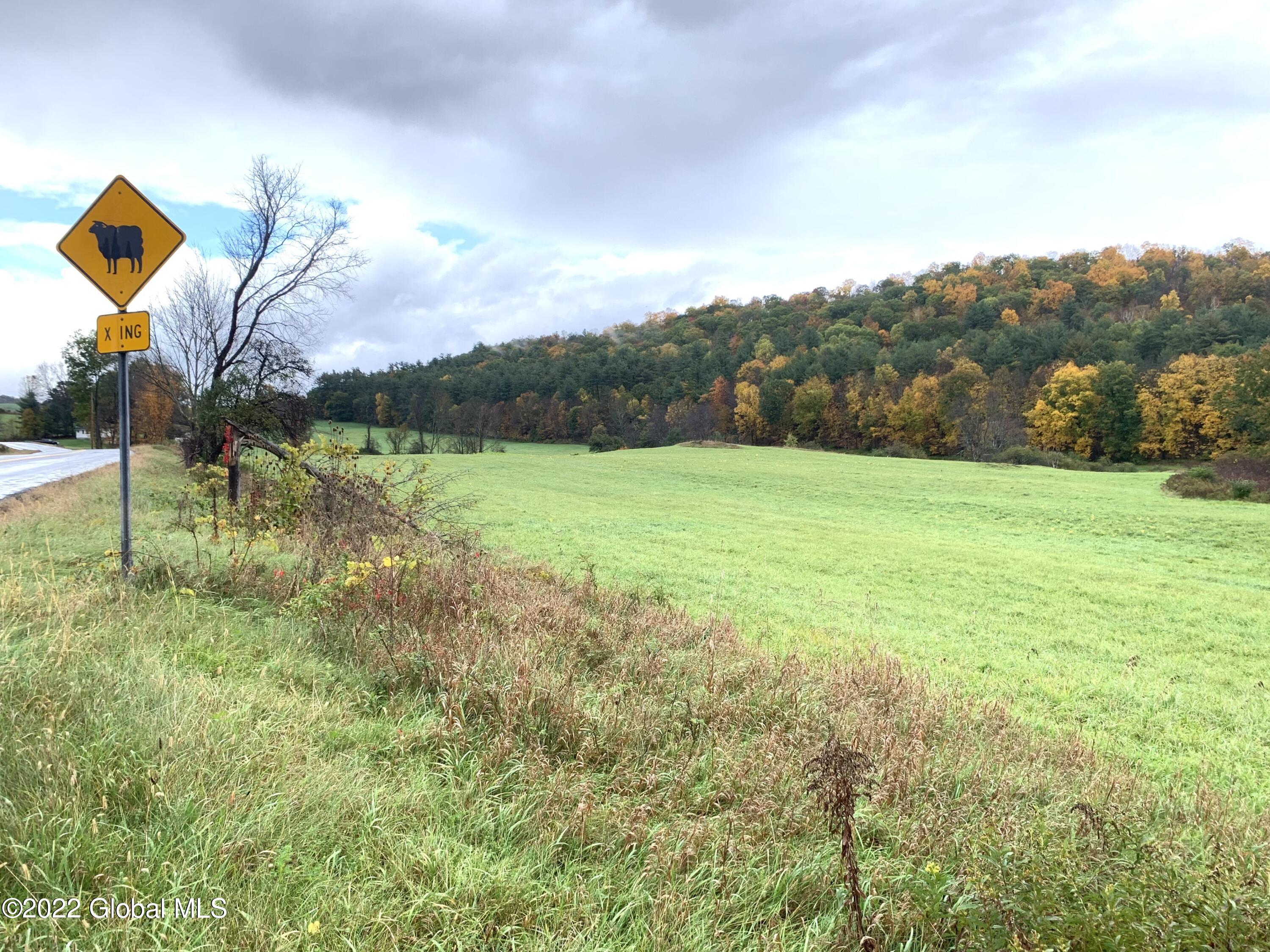Lot 2 County Rt 64 Shushan, NY 12873 - Photo 6 of 9 Lot 2 cow xing