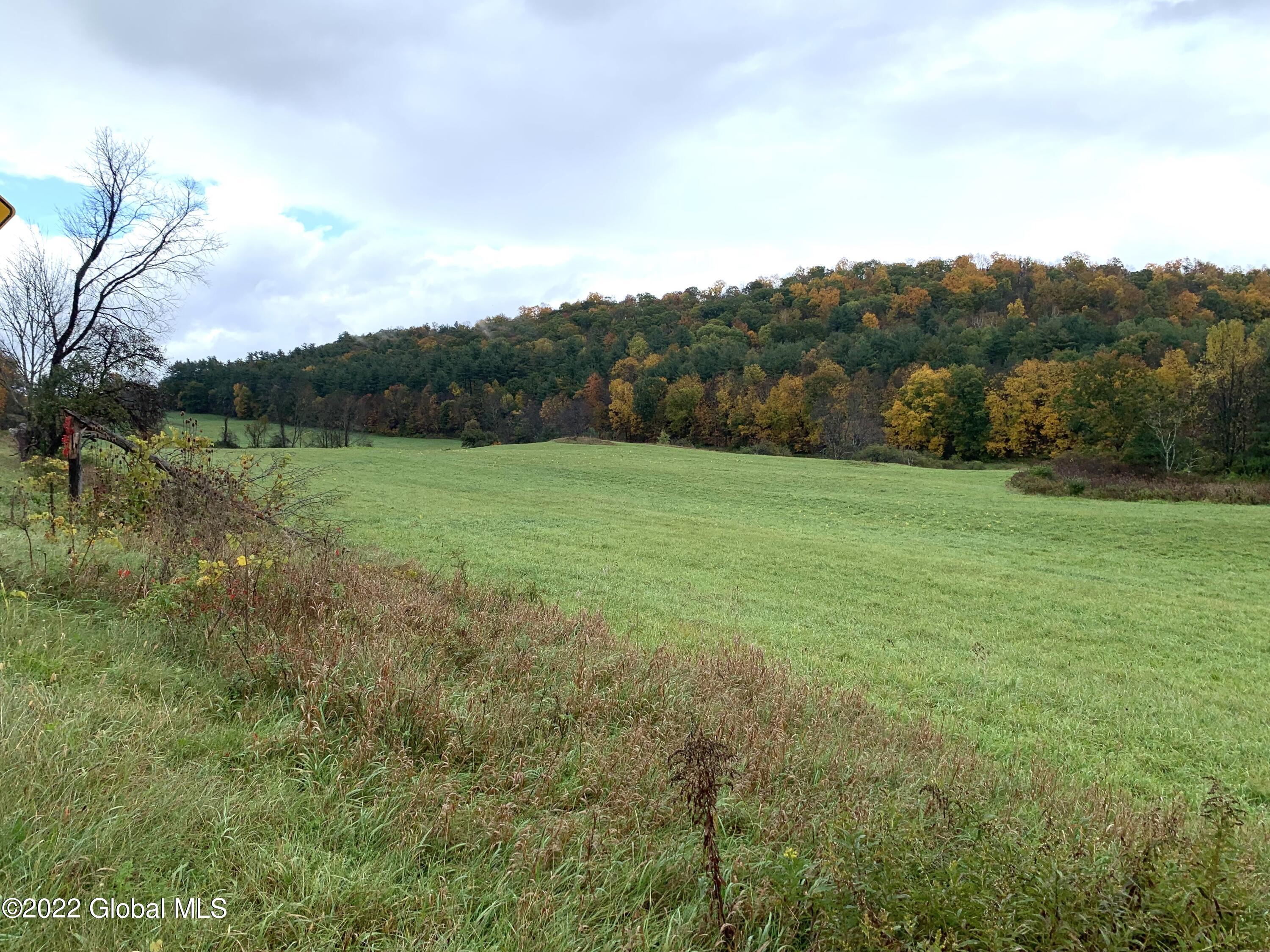 Lot 2 County Rt 64 Shushan, NY 12873 - Photo 7 of 9 Lot 2 field and woods